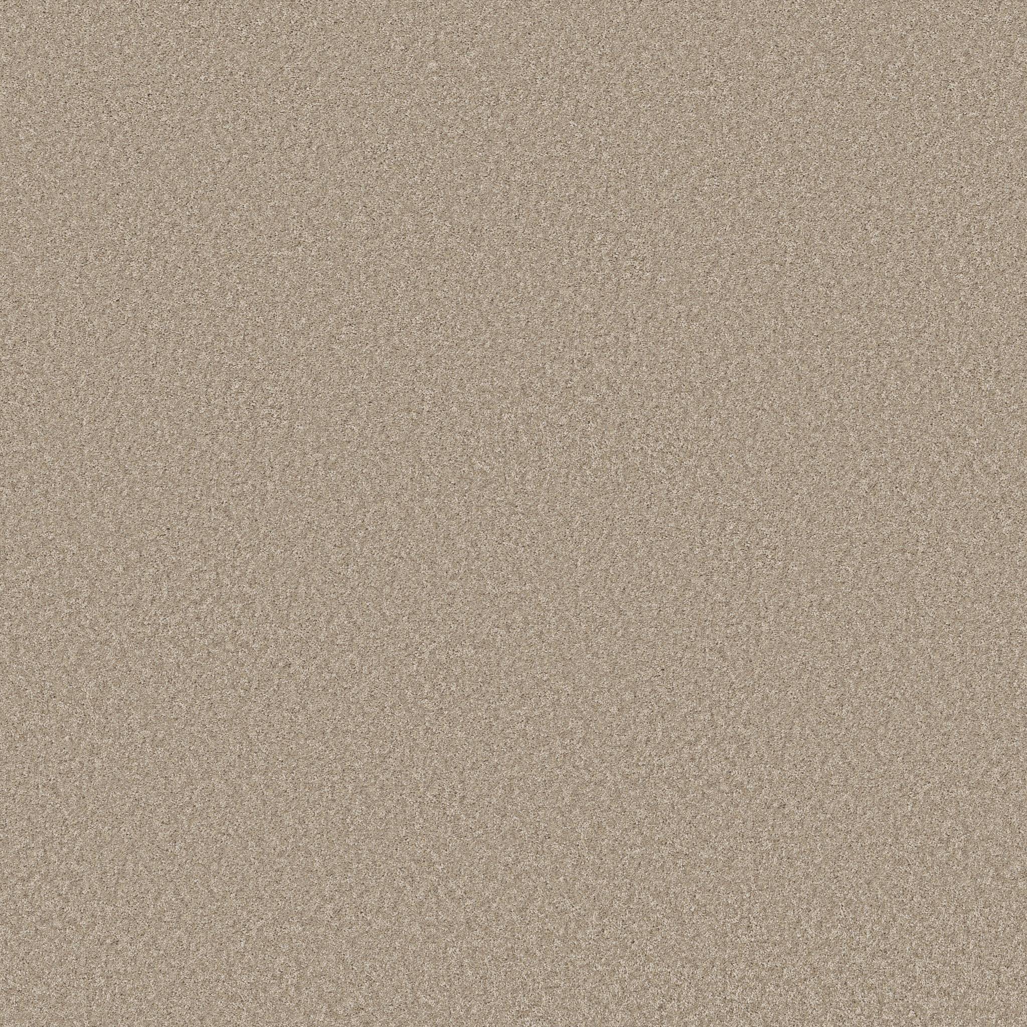 Take My Word I Carpet - Subtle Clay Zoomed Swatch Image
