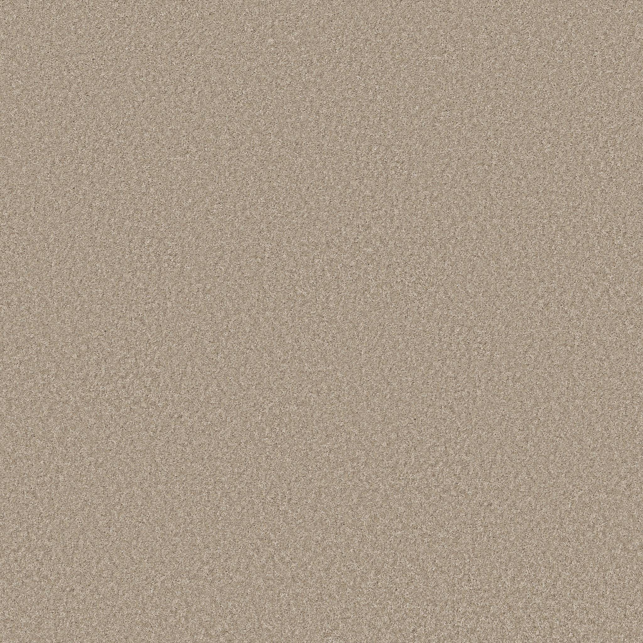 Take My Word I Carpet - Subtle Clay Zoomed Swatch Image