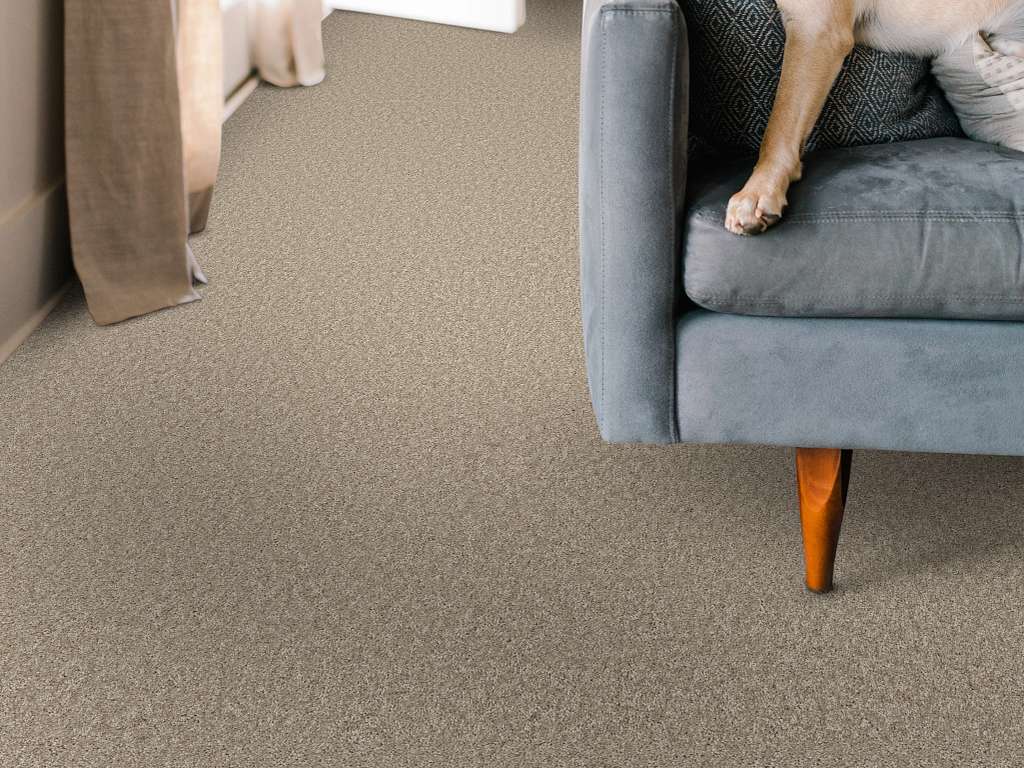 Take My Word I Carpet - Subtle Clay Room Scene Image