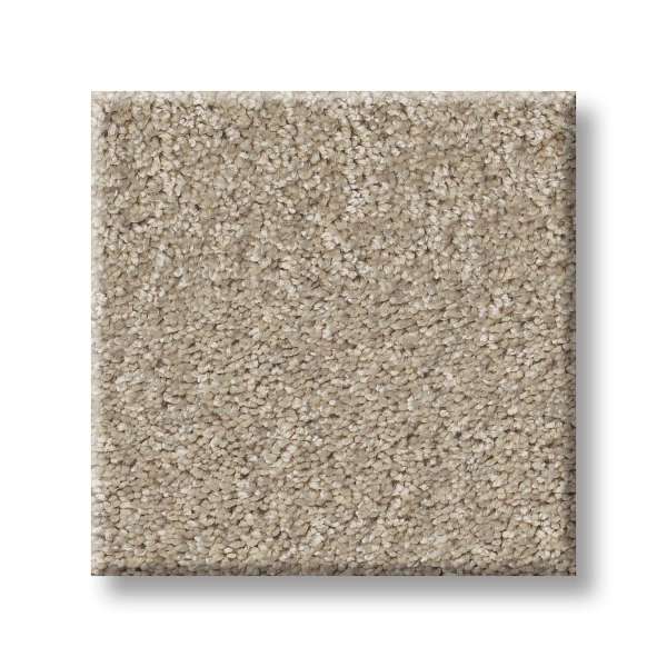 Style Take My Word I Carpet - Subtle Clay Swatch