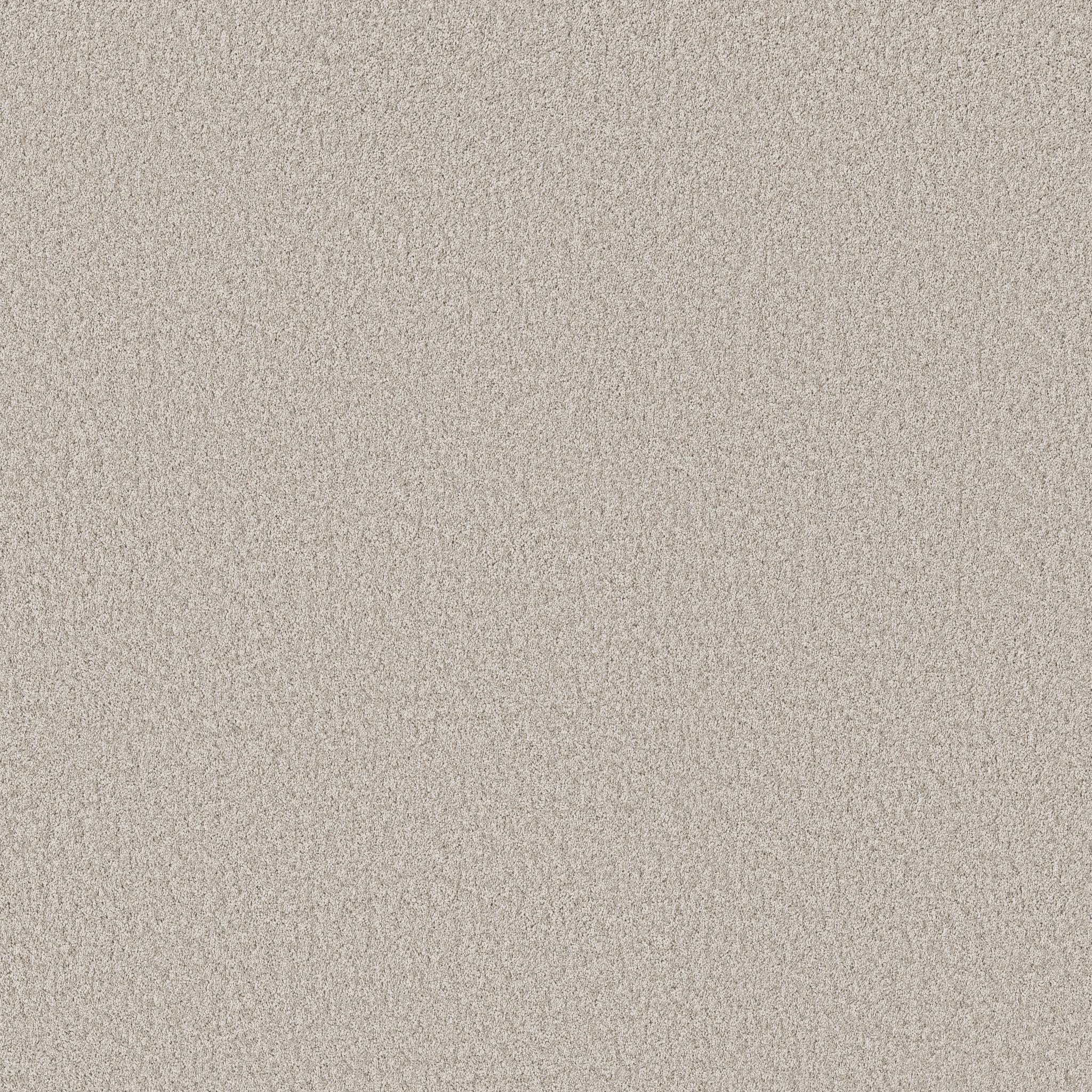 Take My Word I Carpet - Sculpture Zoomed Swatch Image