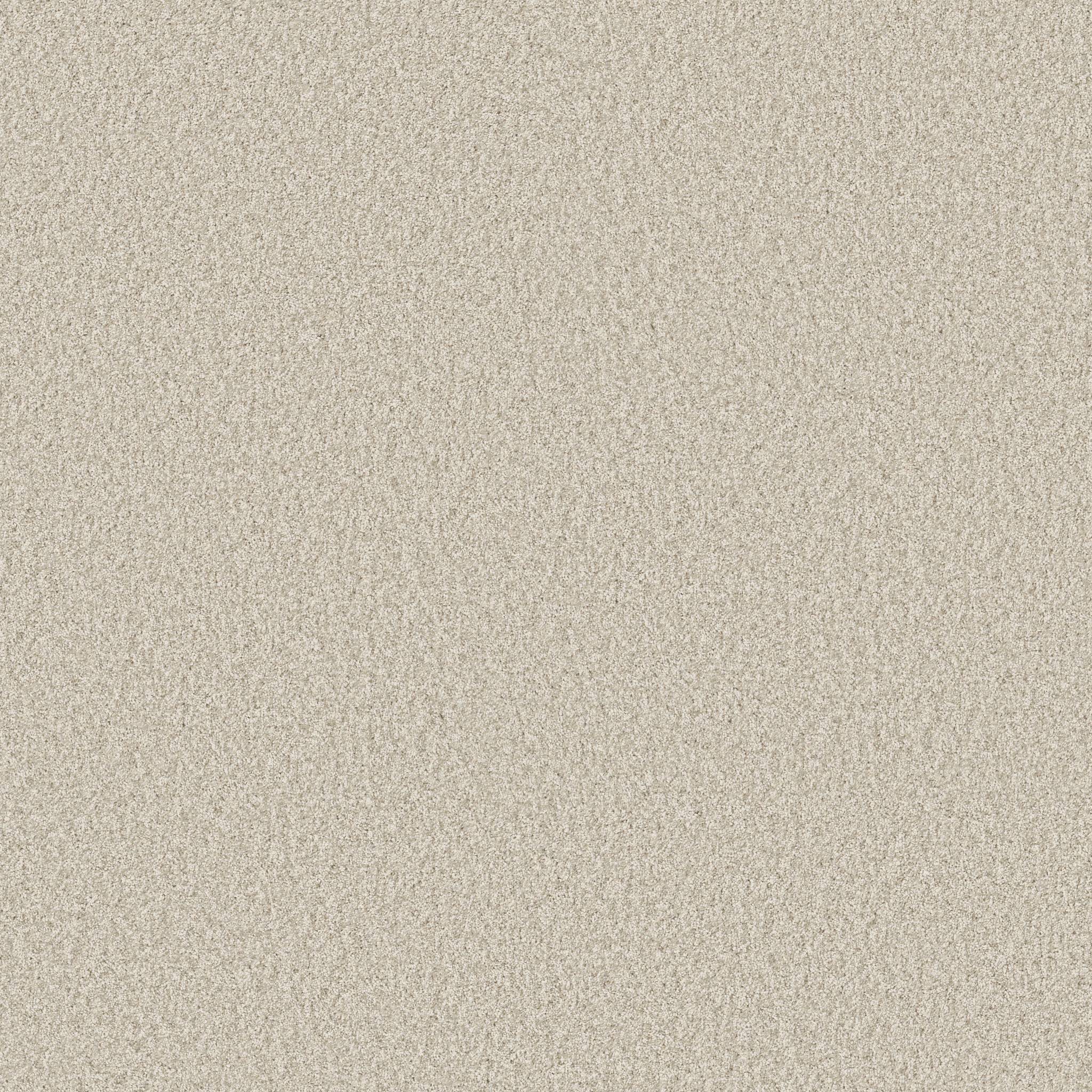 Take My Word I Carpet - Warm Light Zoomed Swatch Image