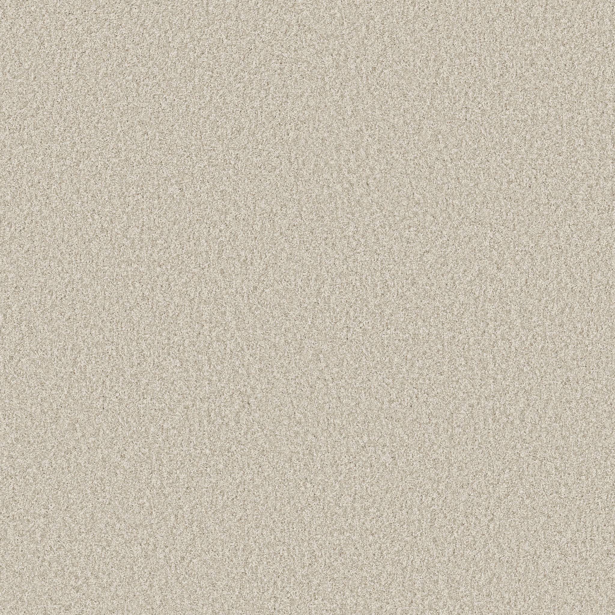 Take My Word I Carpet - Warm Light Zoomed Swatch Image