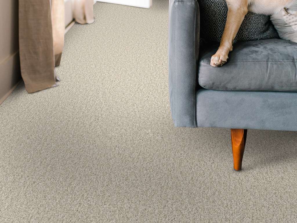Take My Word I Carpet - Warm Light Room Scene Image