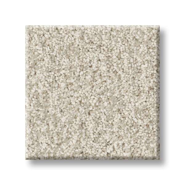 Style Take My Word I Carpet - Warm Light Swatch