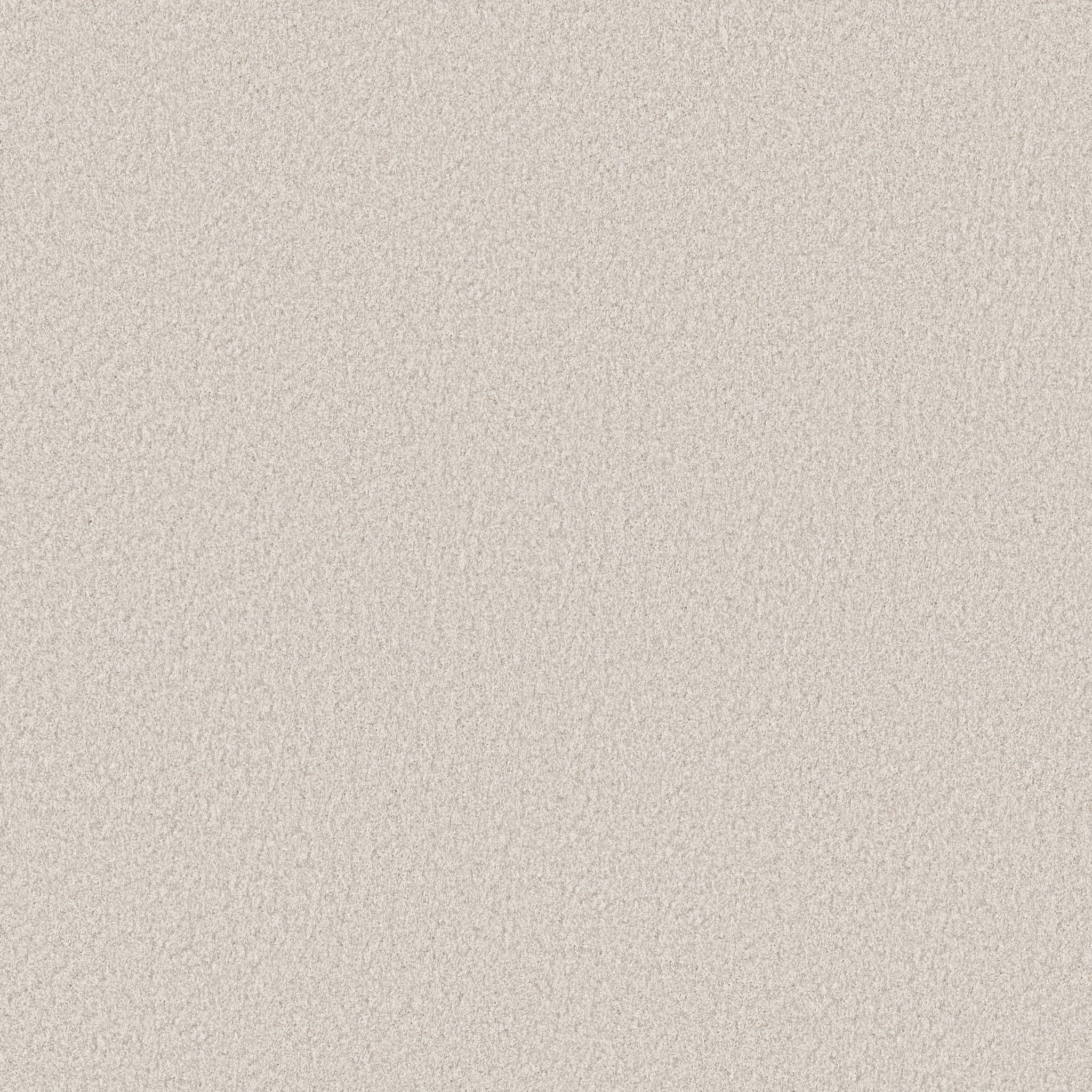 Take My Word I Carpet - Snowfall Zoomed Swatch Image