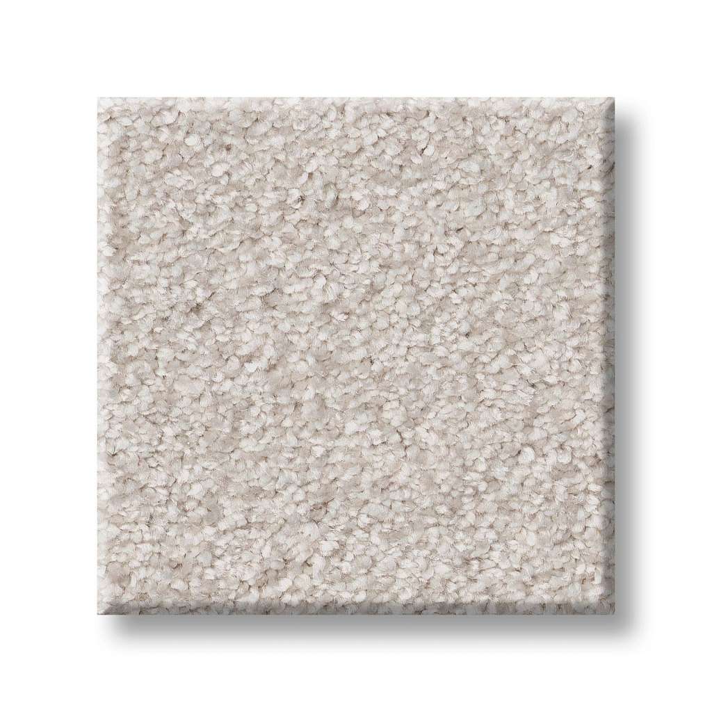 Take My Word I Carpet - Snowfall  Swatch Image 