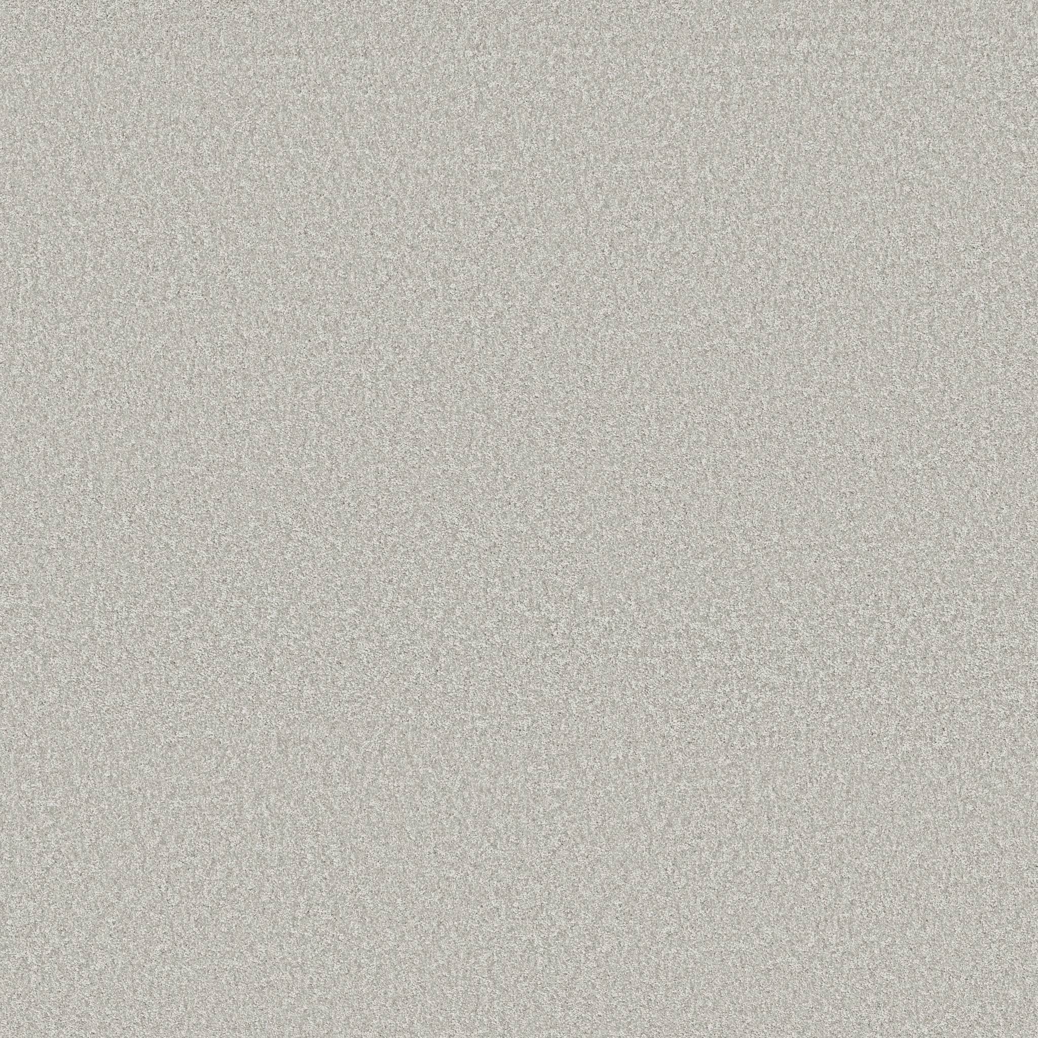 Take My Word I Carpet - Whitecap Zoomed Swatch Image