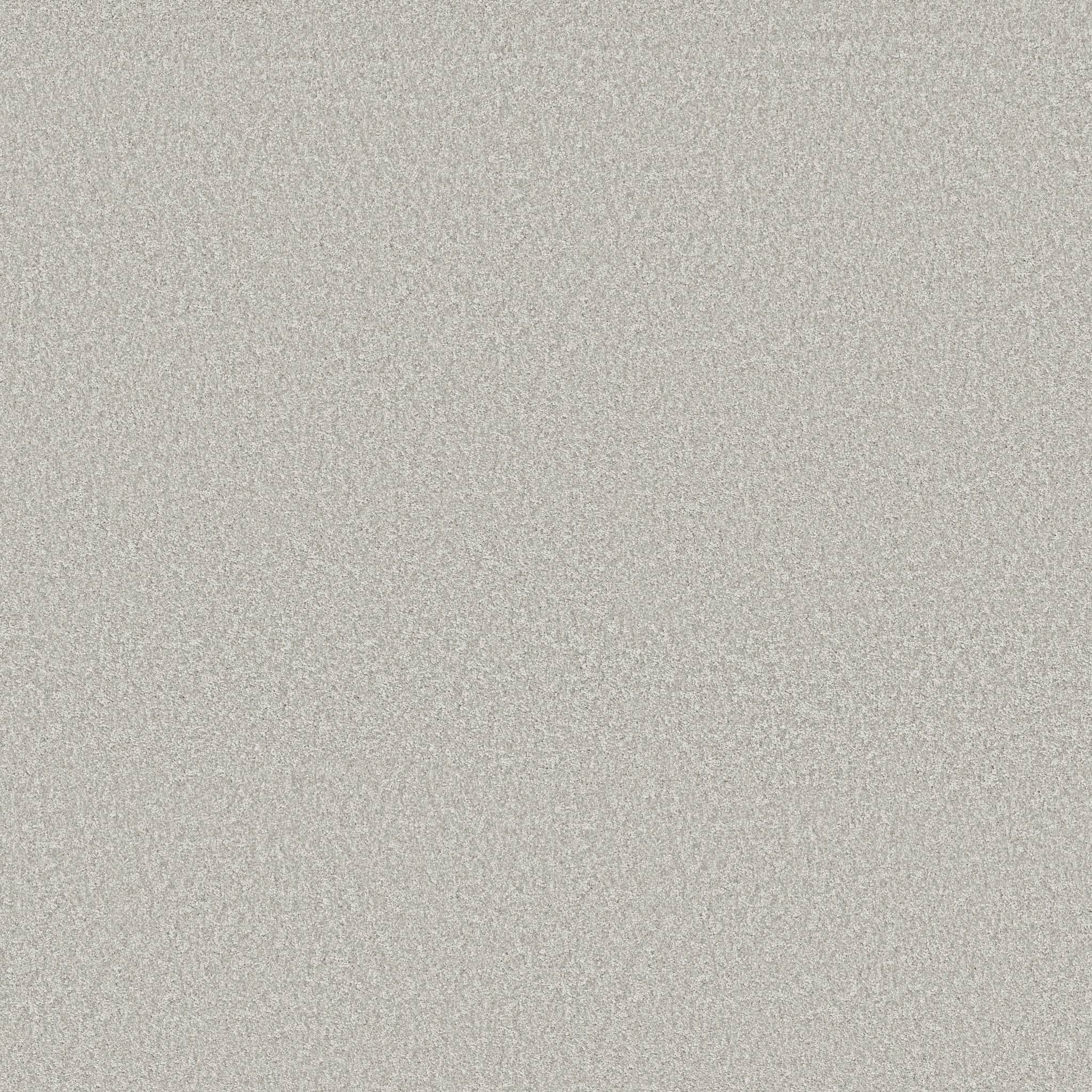 Take My Word I Carpet - Whitecap Zoomed Swatch Image