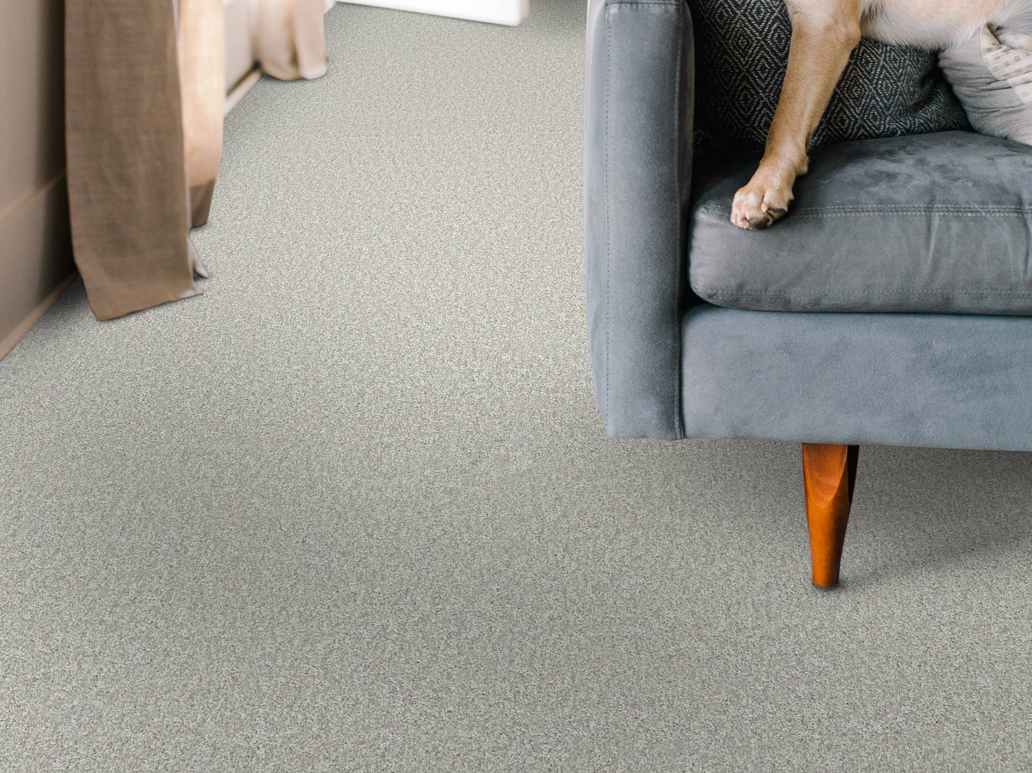 Style - Take My Word I,  Color - WHITECAP - Room Scene