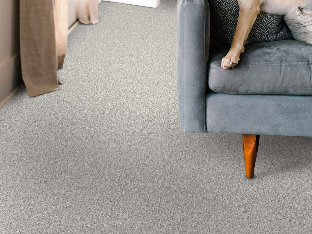 Take My Word I Carpet - Whitecap Room Scene Image