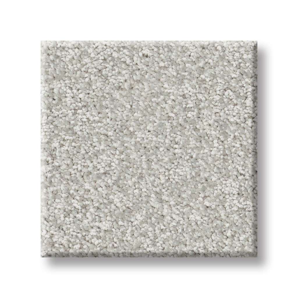 Take My Word I Carpet - Whitecap  Swatch Image 