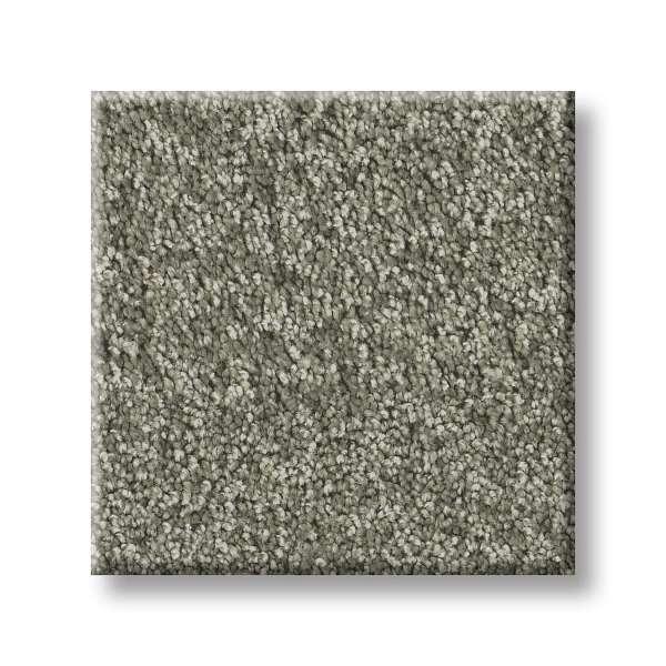 Style Take My Word I Carpet - Rerooted Nature Swatch
