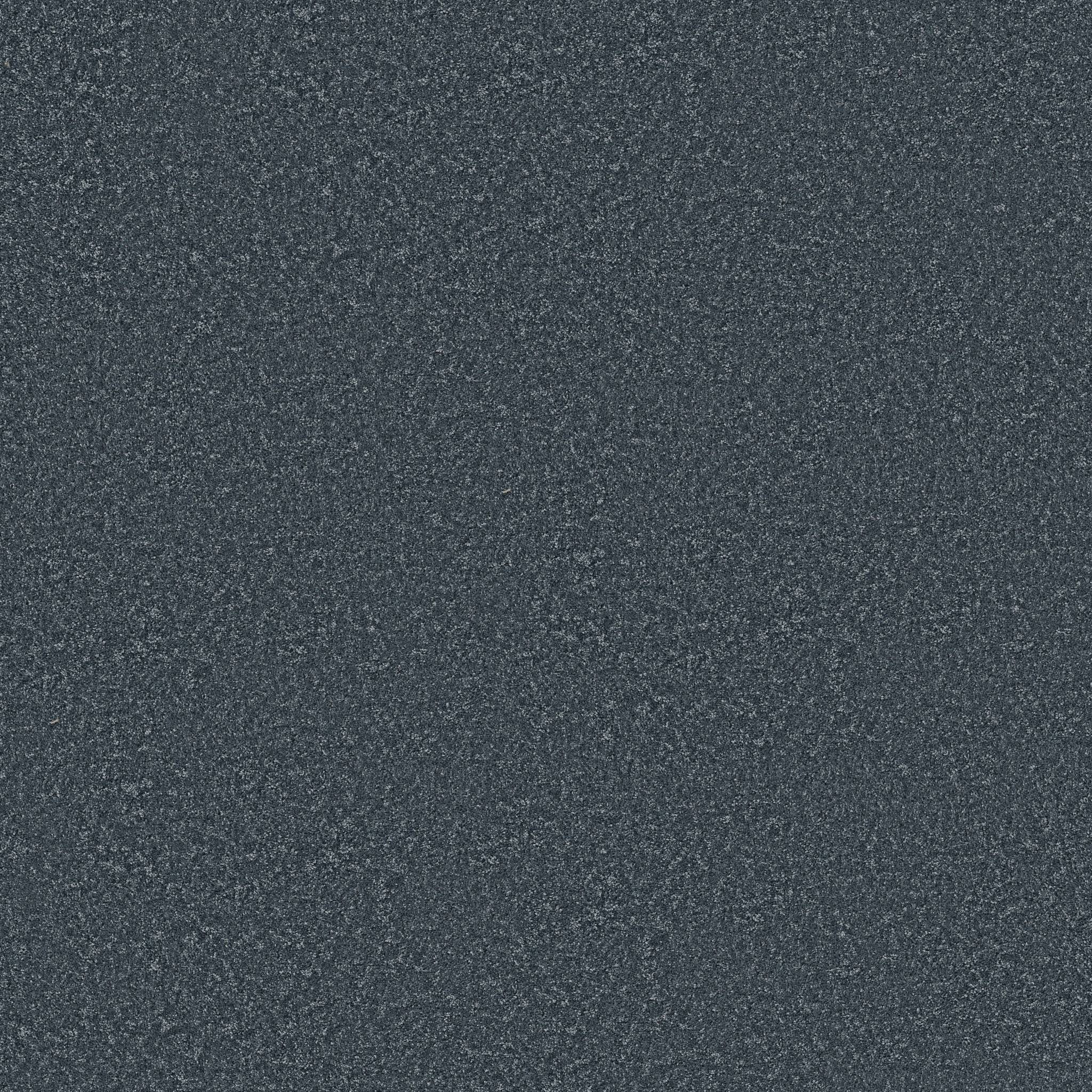 Take My Word I Carpet - Refined Zoomed Swatch Image