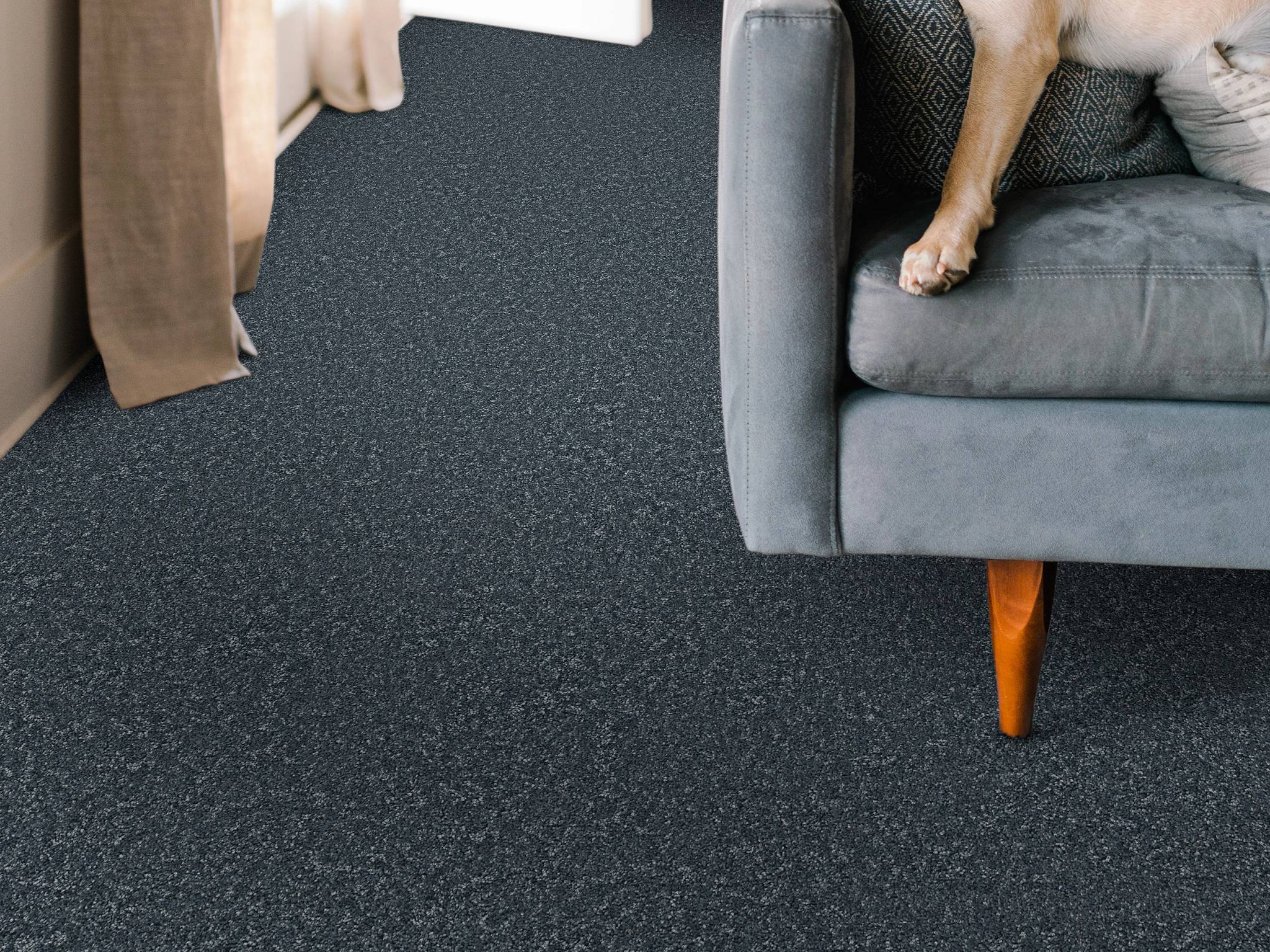 Style - Take My Word I,  Color - REFINED - Room Scene