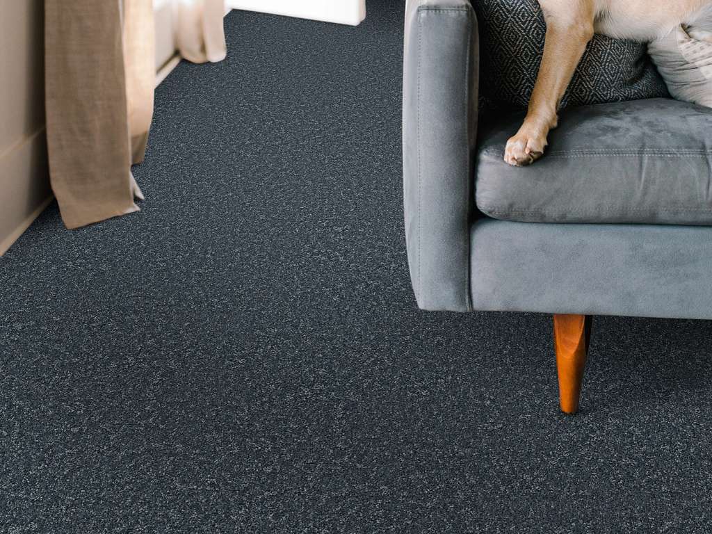 Take My Word I Carpet - Refined Room Scene Image
