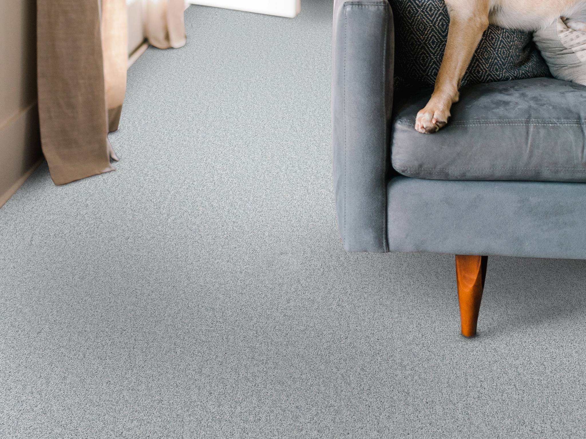 take my word i smc13 - serene blue Costco | Shaw Carpet: Berber