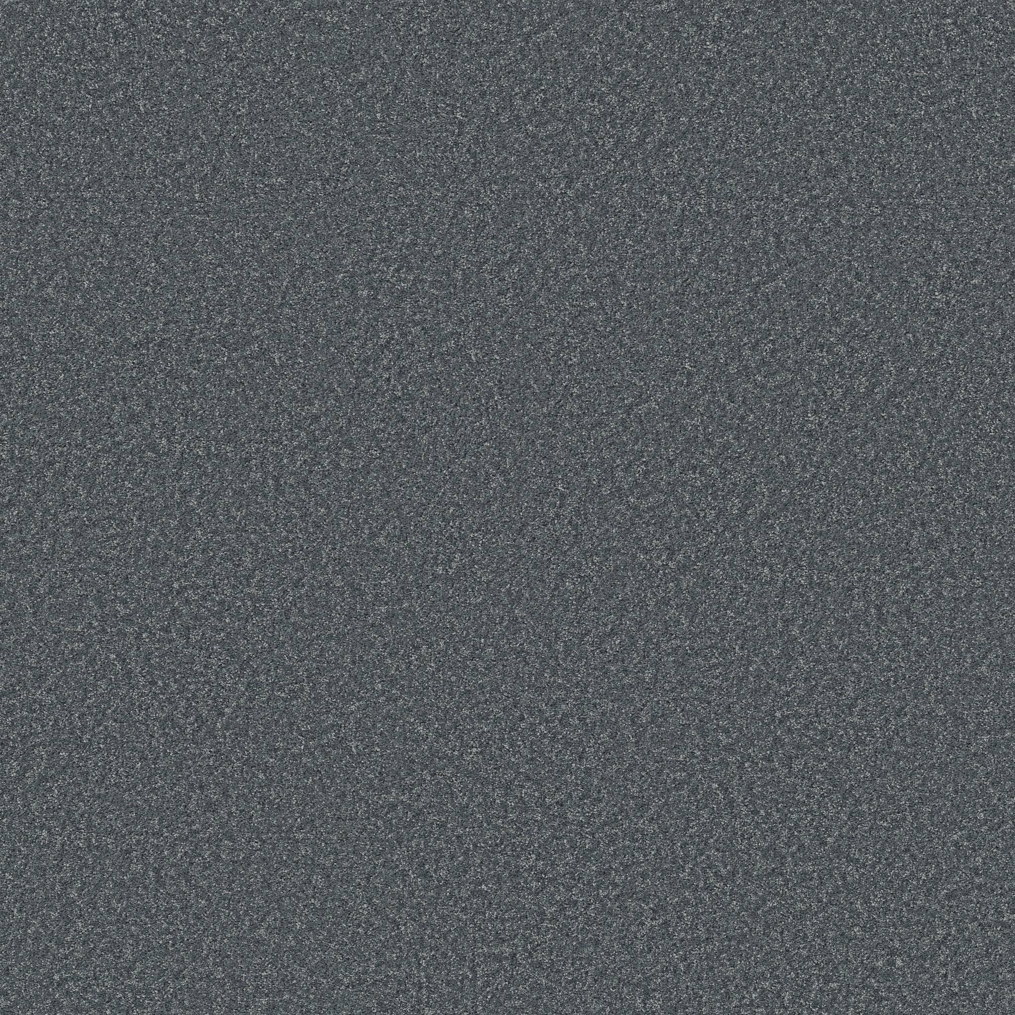 Take My Word I Carpet - Reflection Zoomed Swatch Image