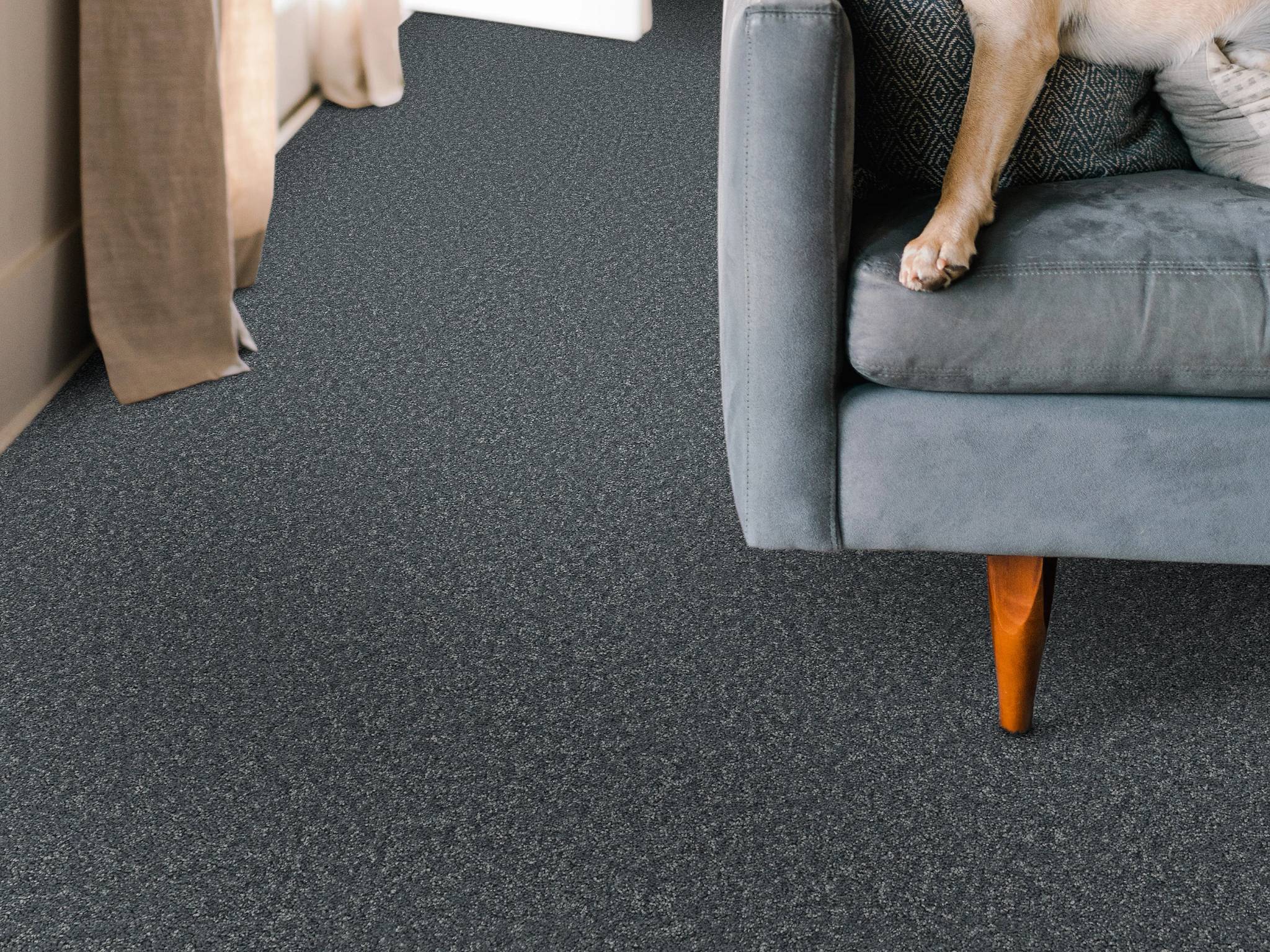 Style - Take My Word I,  Color - REFLECTION - Room Scene