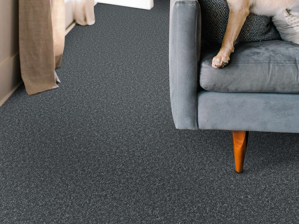 Take My Word I Carpet - Reflection Room Scene Image