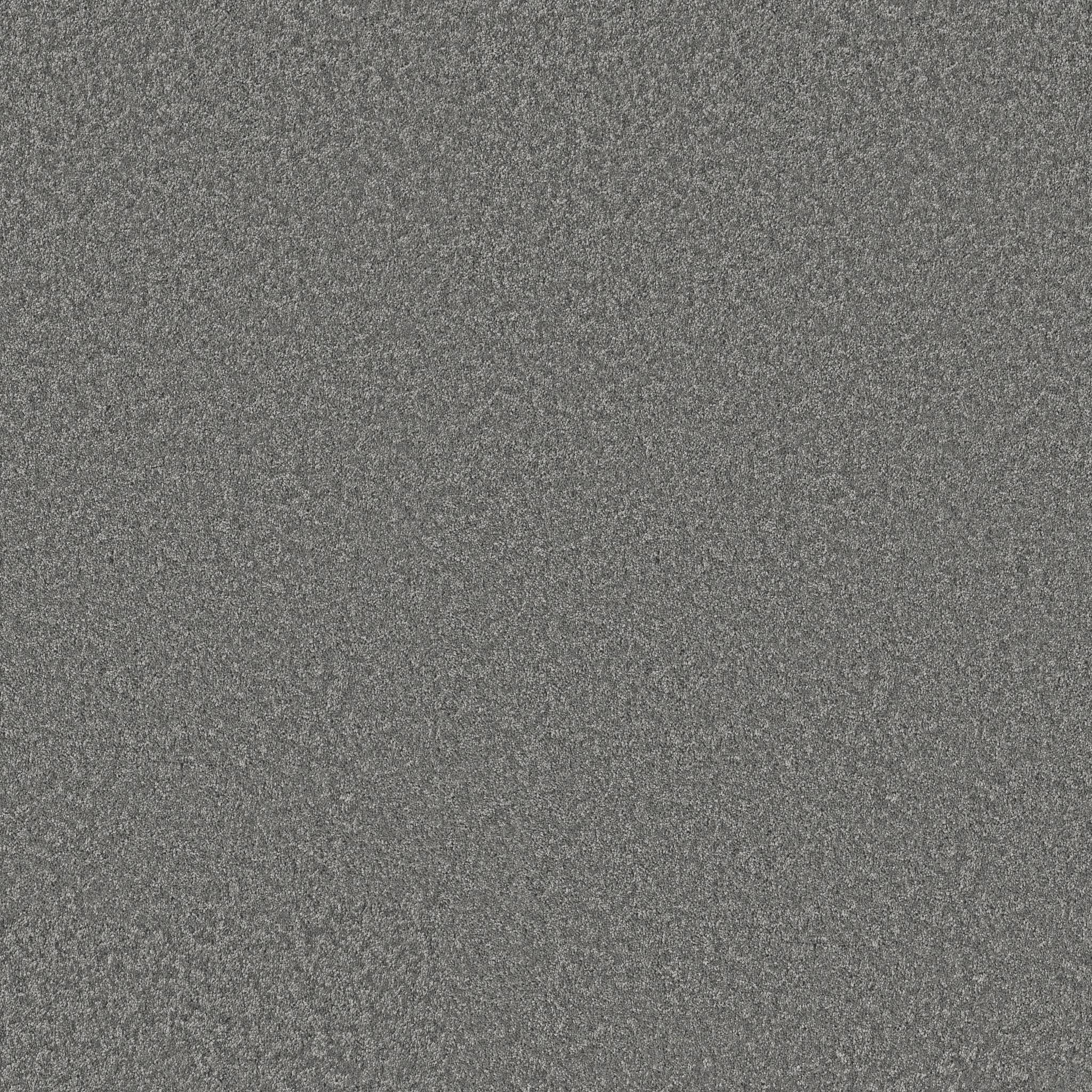 Take My Word I Carpet - Ashes Zoomed Swatch Image