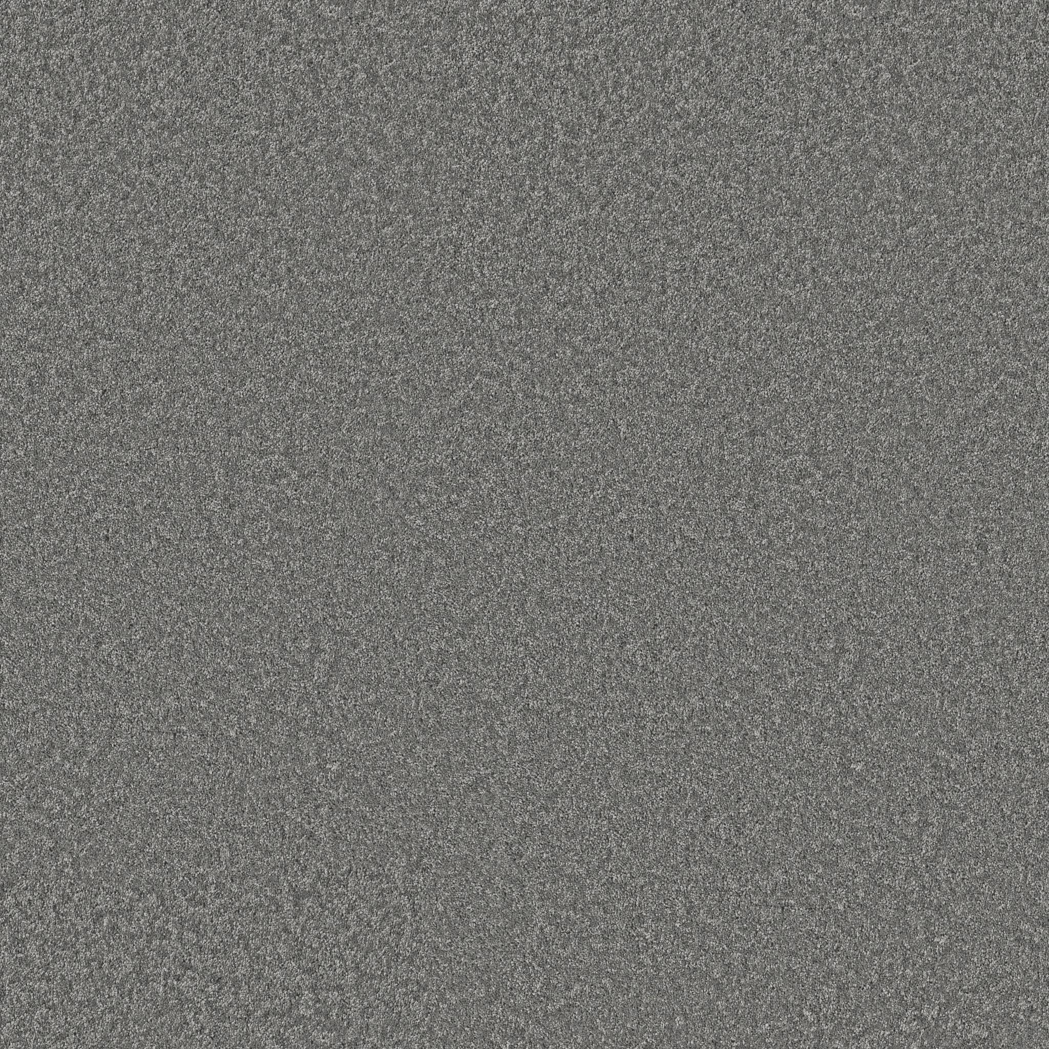 Take My Word I Carpet - Ashes Zoomed Swatch Image