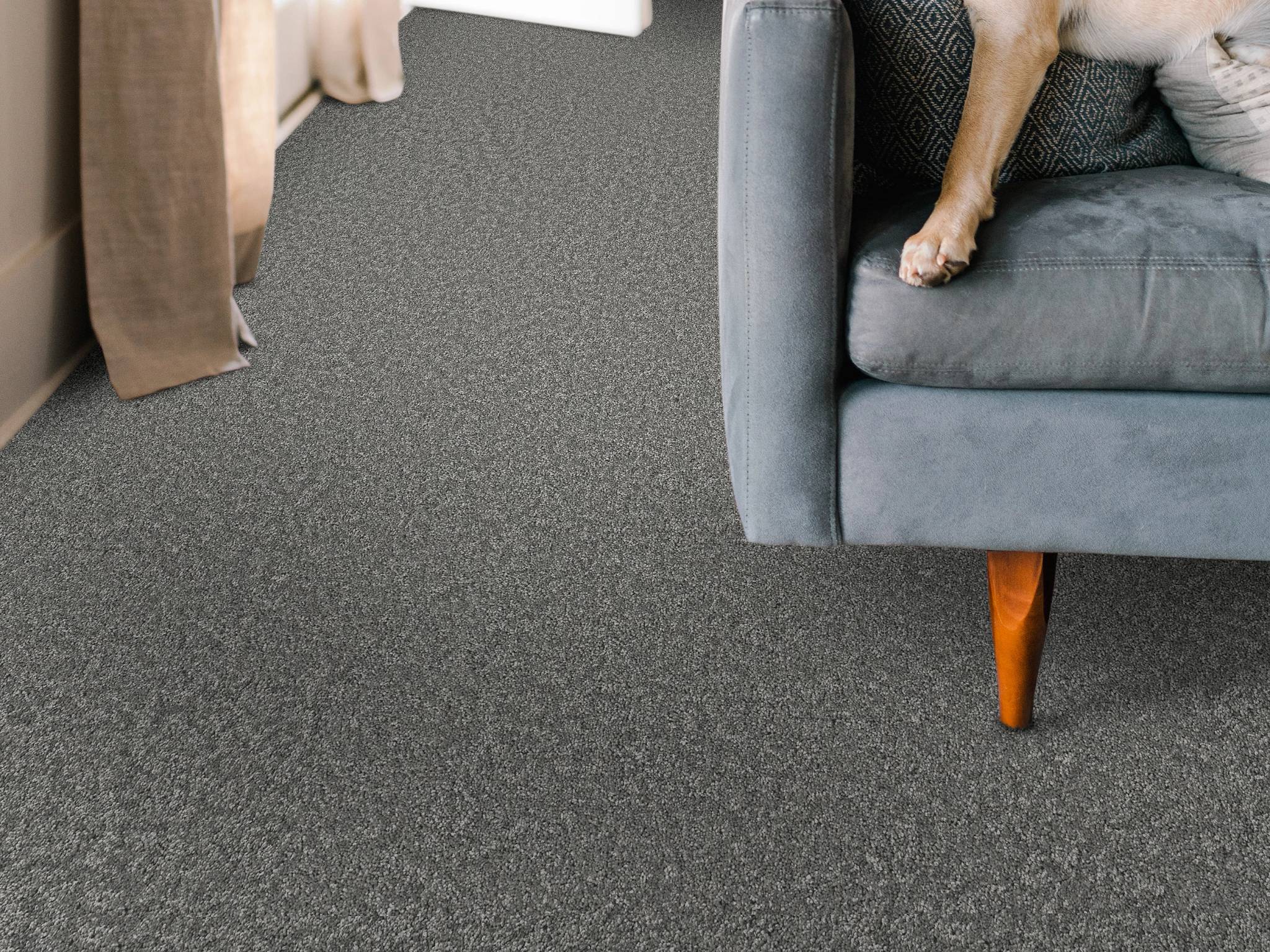 Style - Take My Word I,  Color - ASHES - Room Scene