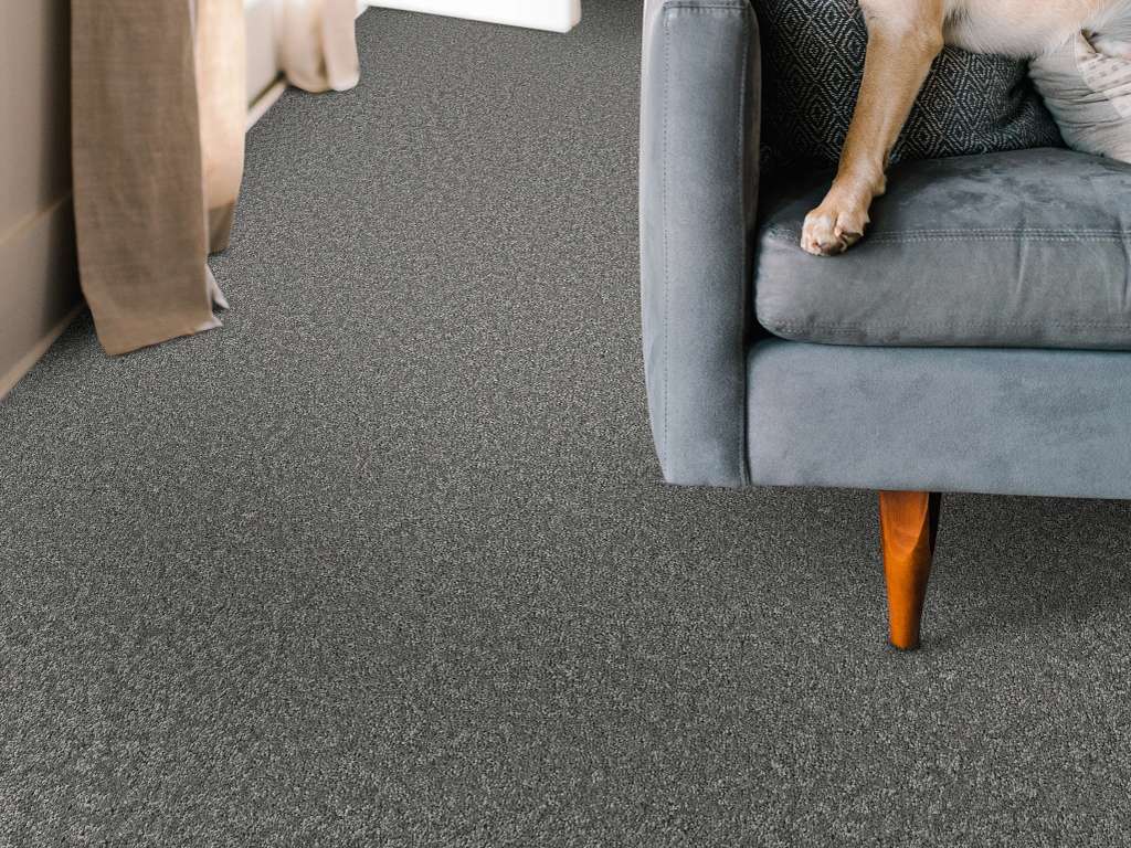 Take My Word I Carpet - Ashes Room Scene Image