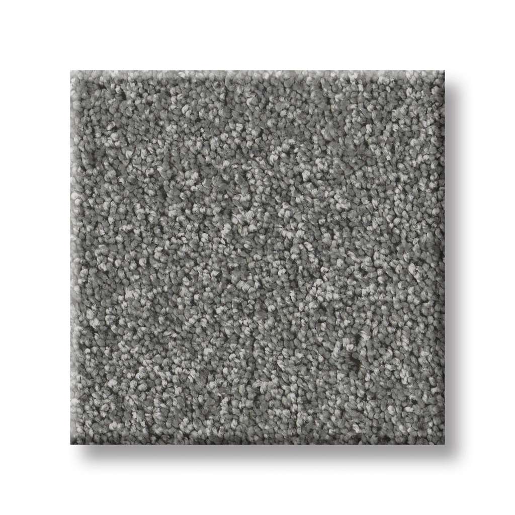 Take My Word I Carpet - Ashes  Swatch Image 