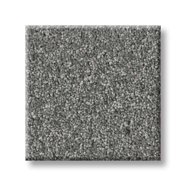 Style Take My Word I Carpet - Ashes Swatch