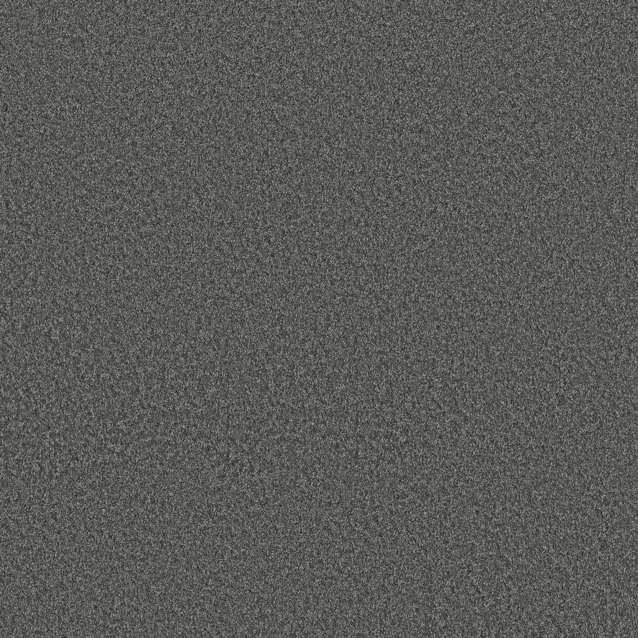 Take My Word I Carpet - Shadow Zoomed Swatch Image