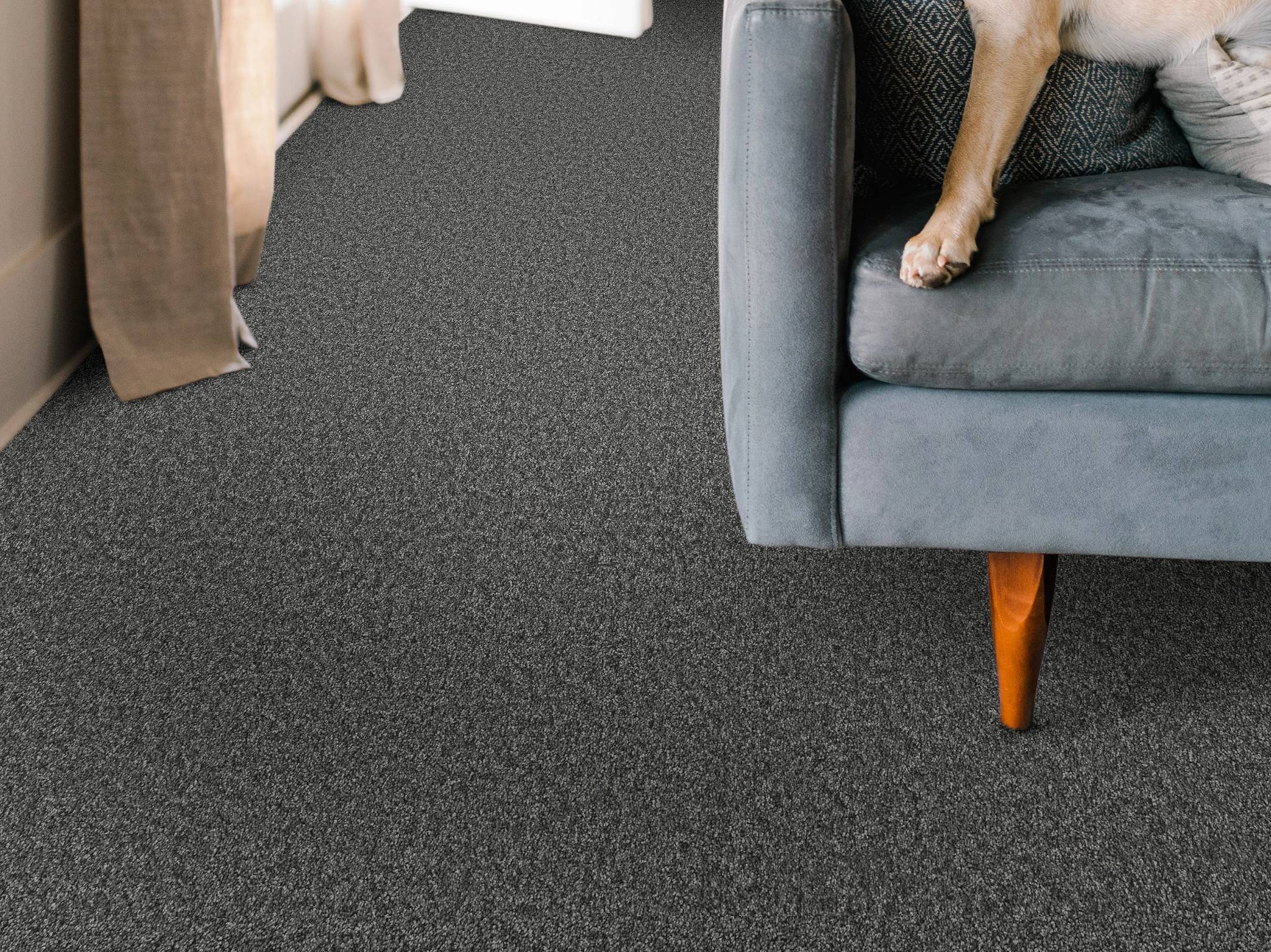 Style - Take My Word I,  Color - SHADOW - Room Scene