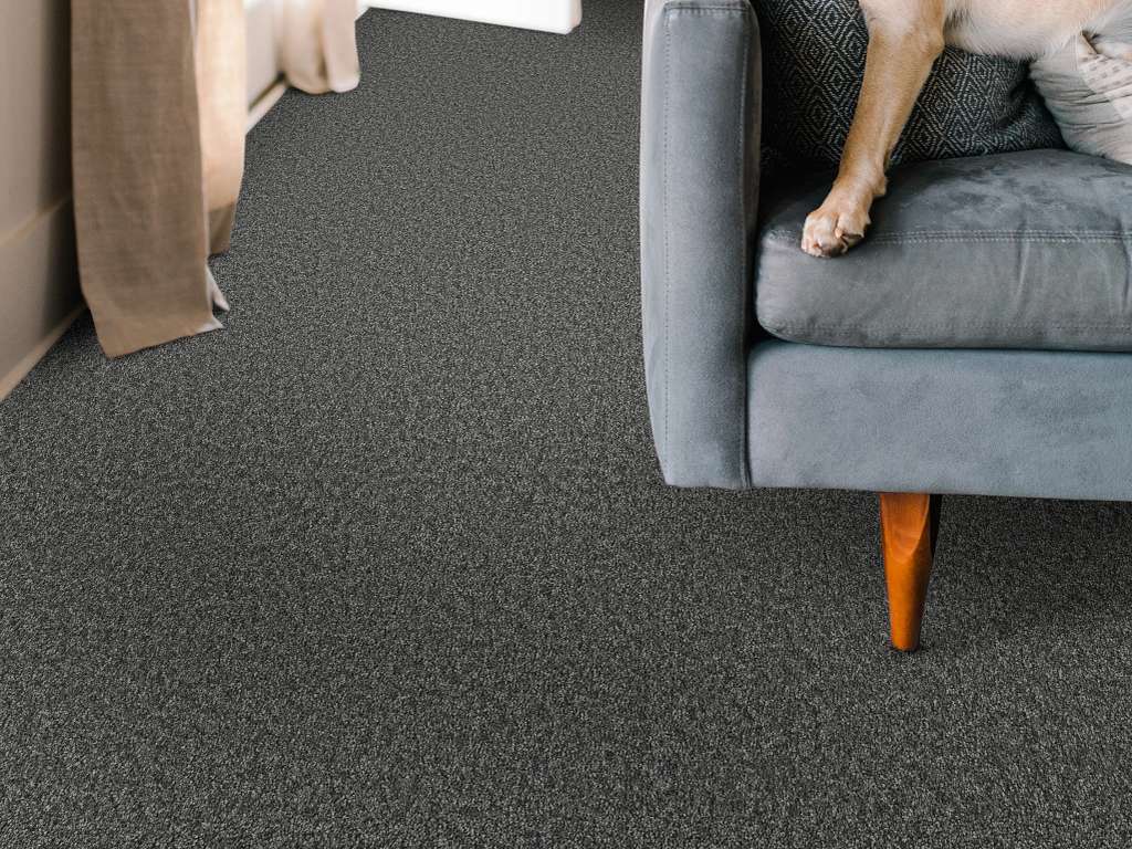 Take My Word I Carpet - Shadow Room Scene Image