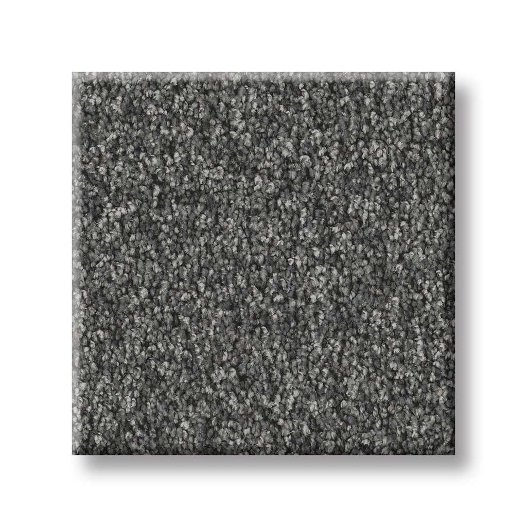 Take My Word I Carpet - Shadow  Swatch Image 