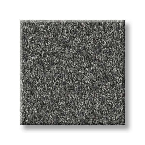 Style Take My Word I Carpet - Shadow Swatch