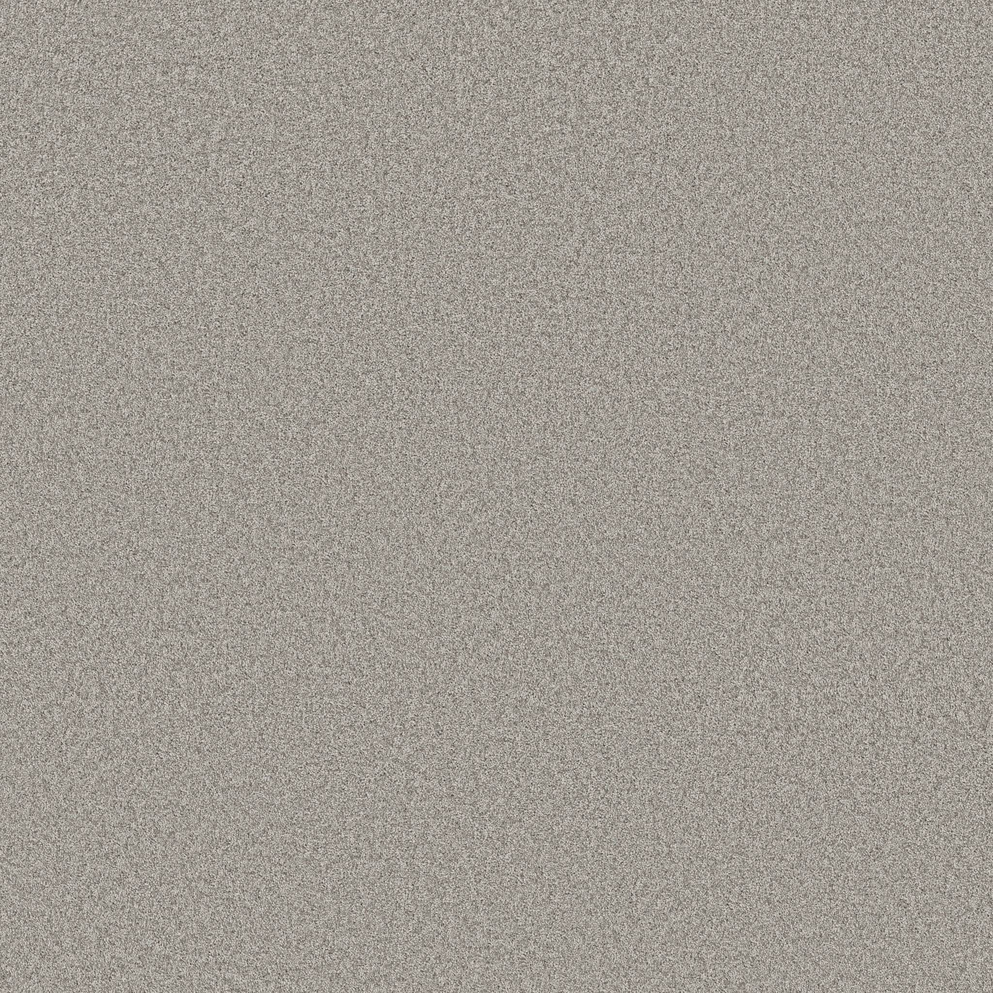 Take My Word I Carpet - Rock Crystal Zoomed Swatch Image