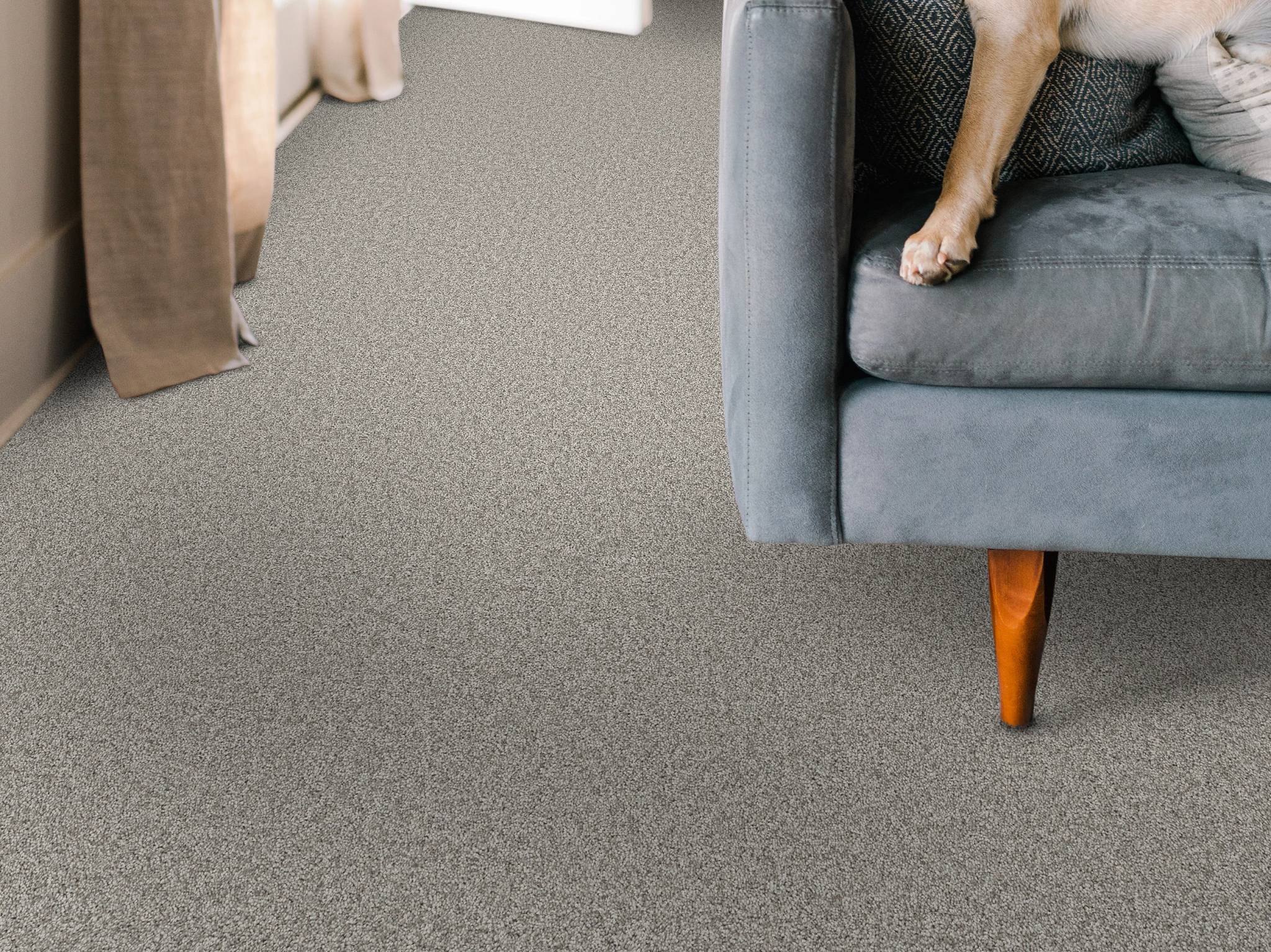 Style - Take My Word I,  Color - ROCK CRYSTAL - Room Scene