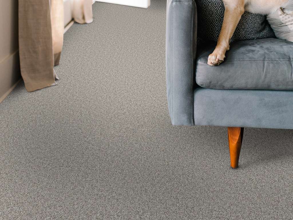 Take My Word I Carpet - Rock Crystal Room Scene Image