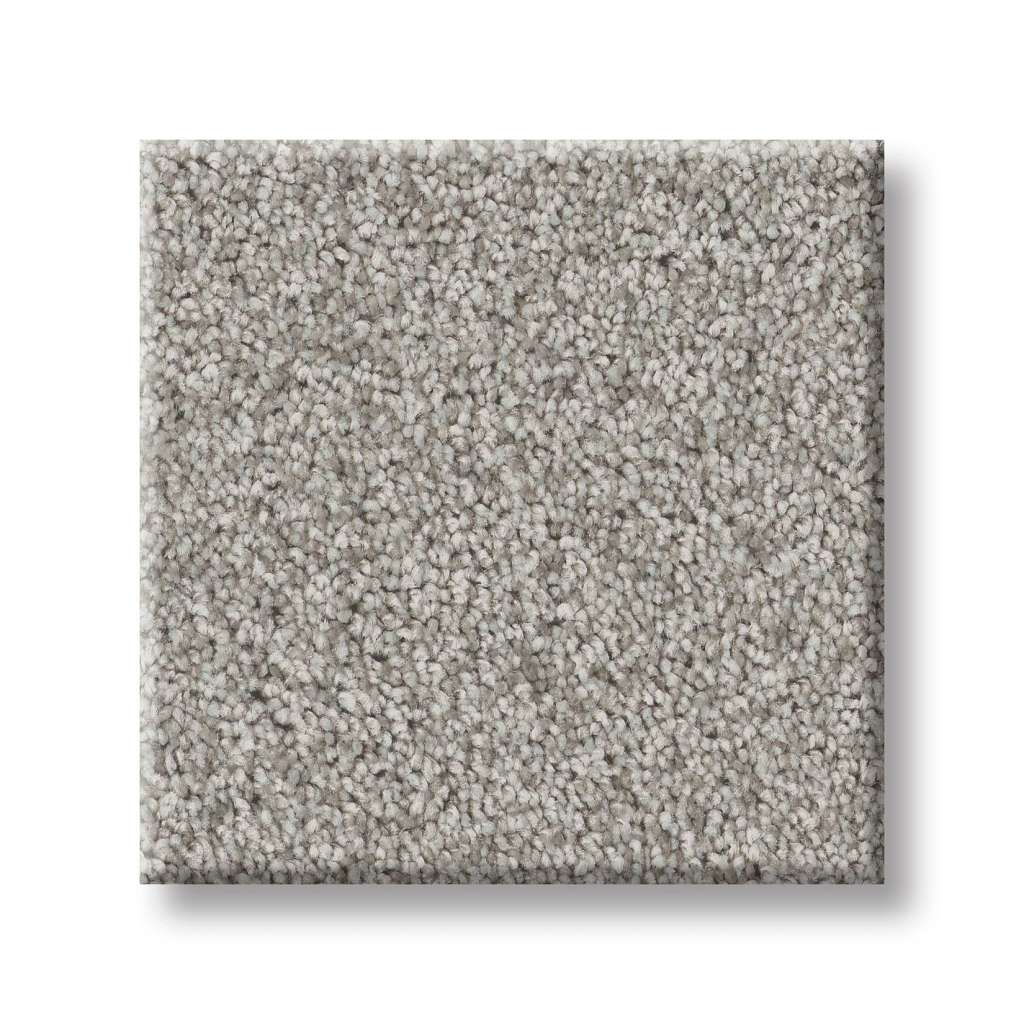 Take My Word I Carpet - Rock Crystal  Swatch Image 