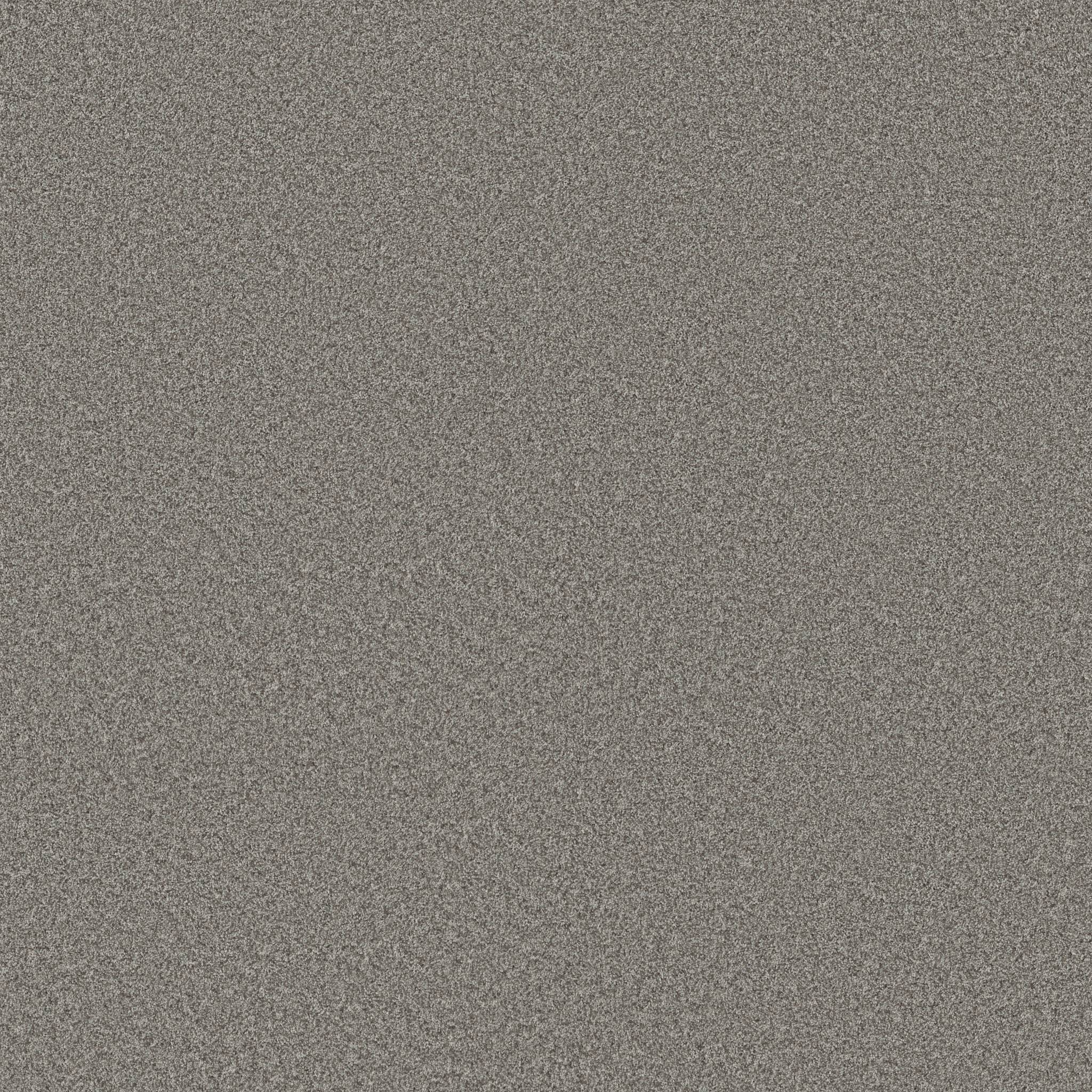 Take My Word I Carpet - Vintage Zoomed Swatch Image