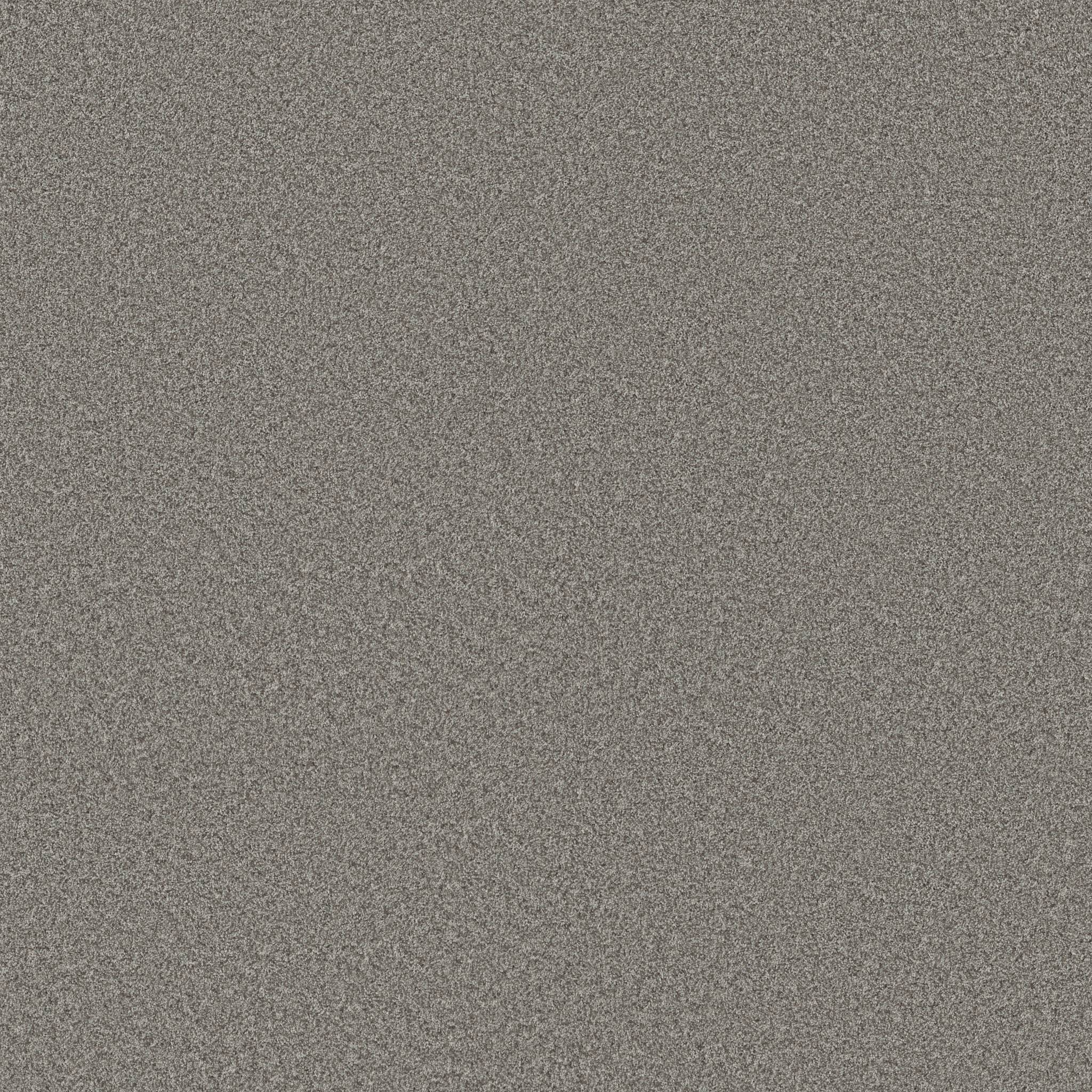 Take My Word I Carpet - Vintage Zoomed Swatch Image