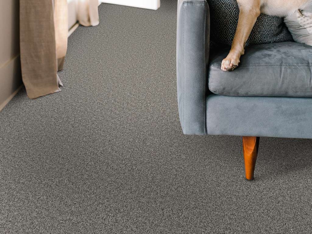 Take My Word I Carpet - Vintage Room Scene Image