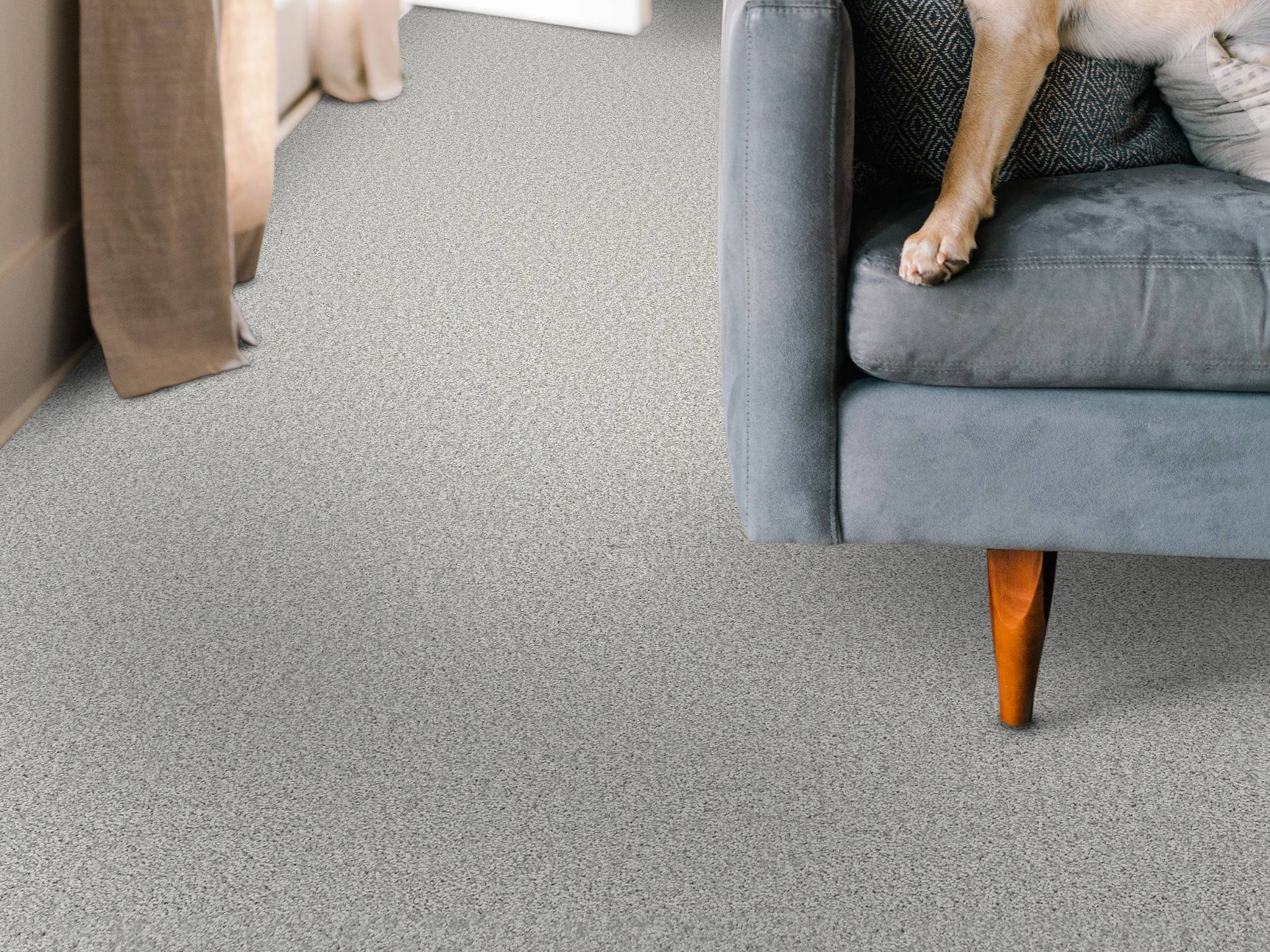 Style - Take My Word I,  Color - LILAC GRAY - Room Scene