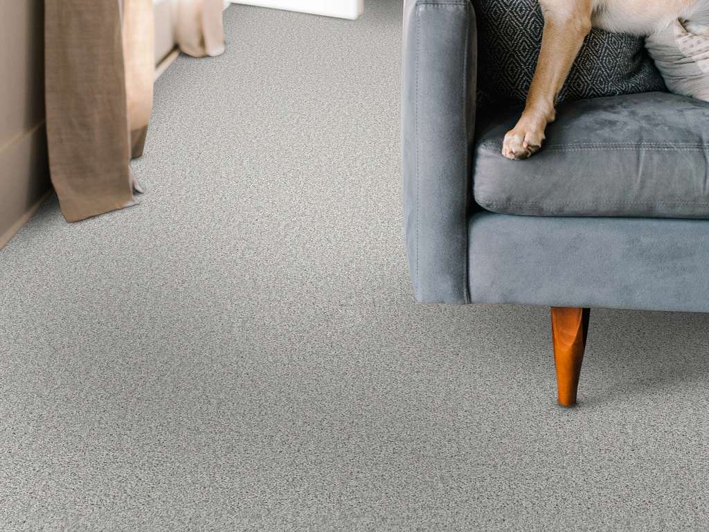 Take My Word I Carpet - Lilac Gray Room Scene Image