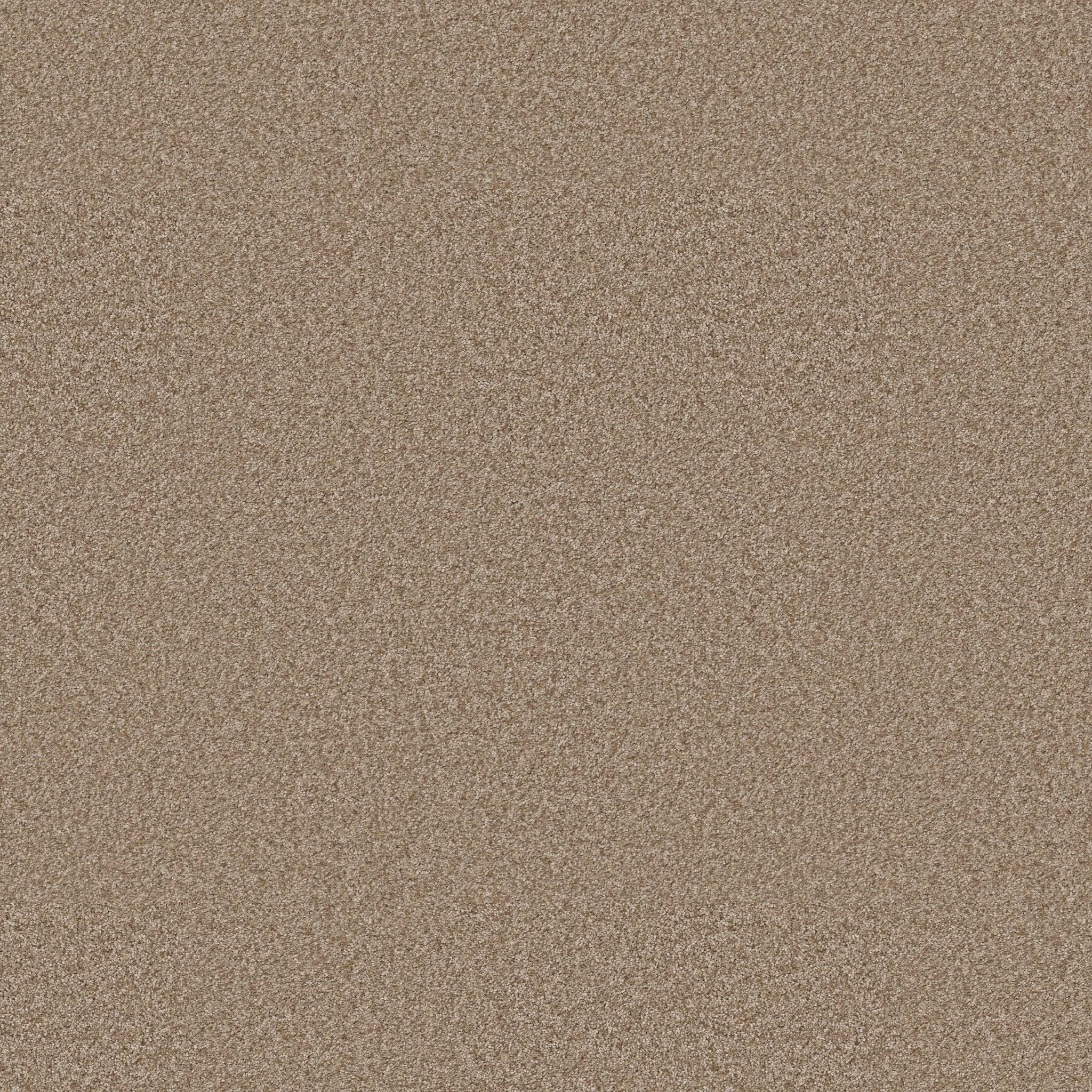 Take My Word I Carpet - Worn Path Zoomed Swatch Image