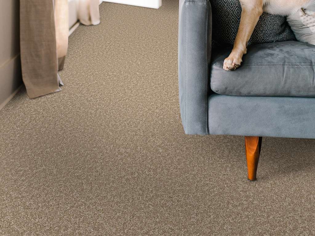 Take My Word I Carpet - Worn Path Room Scene Image