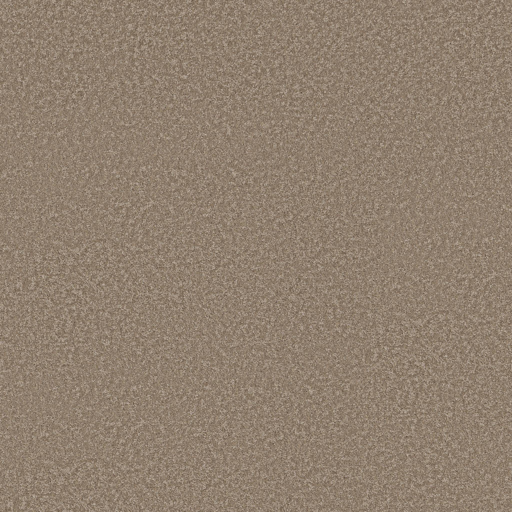 Take My Word I Carpet - Mission Ridge Zoomed Swatch Image