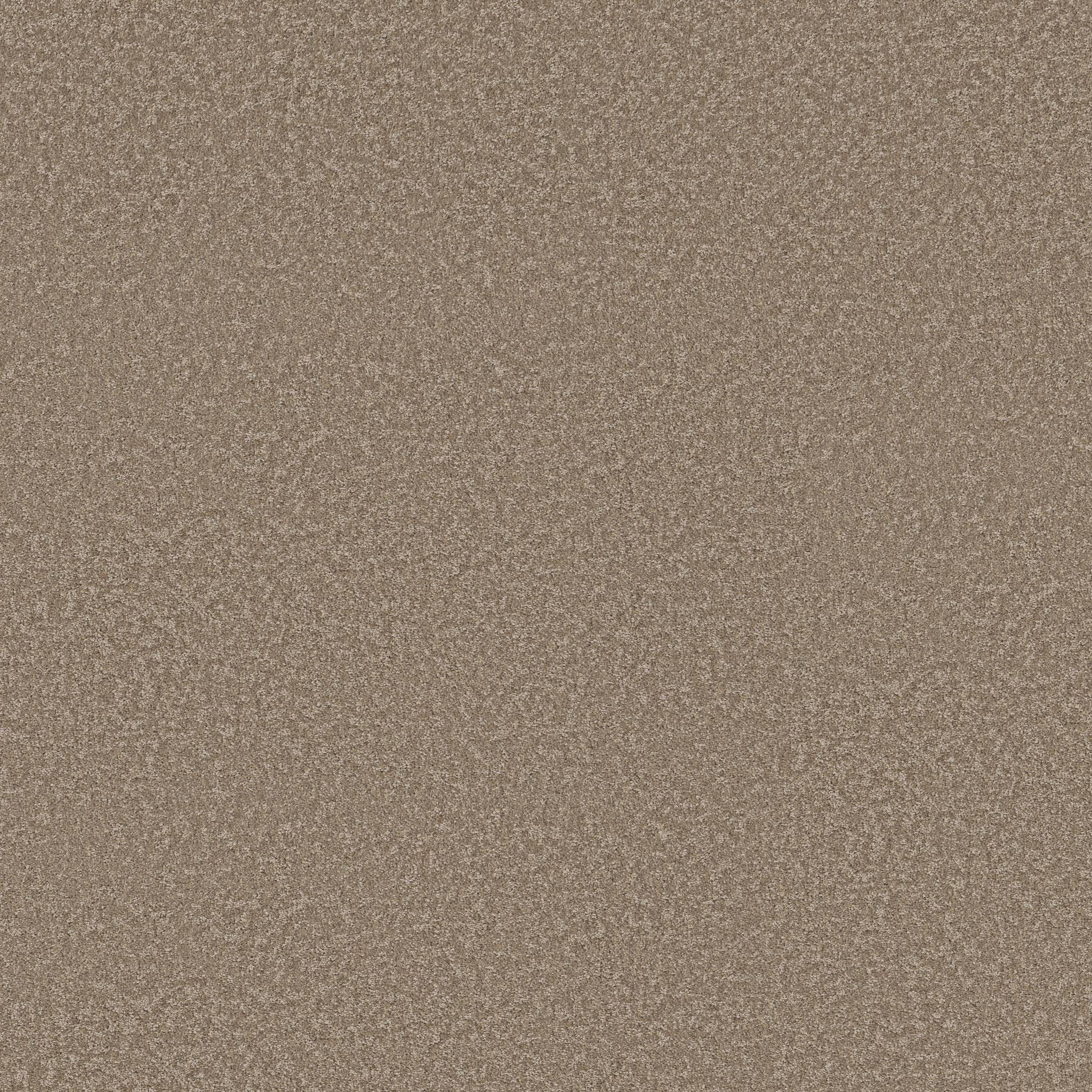 Take My Word I Carpet - Mission Ridge Zoomed Swatch Image