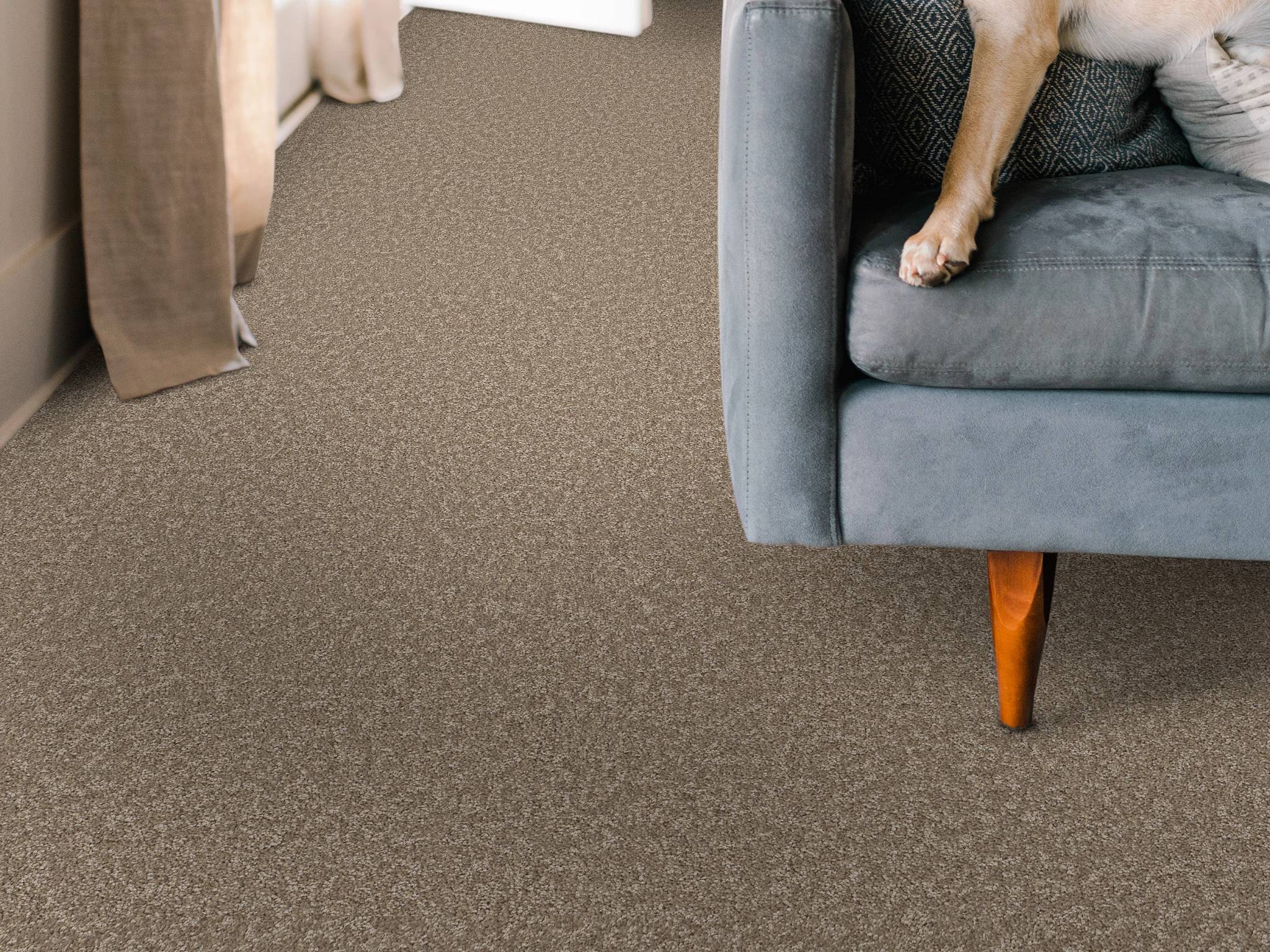 Style - Take My Word I,  Color - MISSION RIDGE - Room Scene