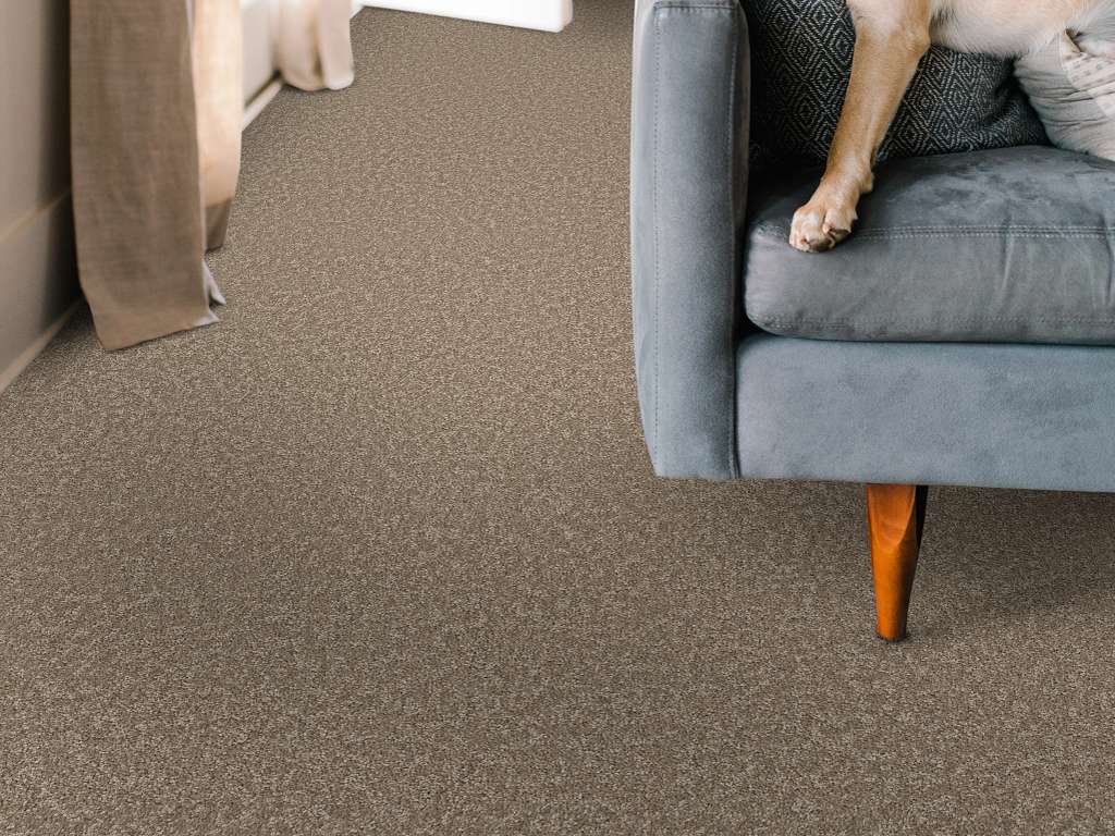 Take My Word I Carpet - Mission Ridge Room Scene Image